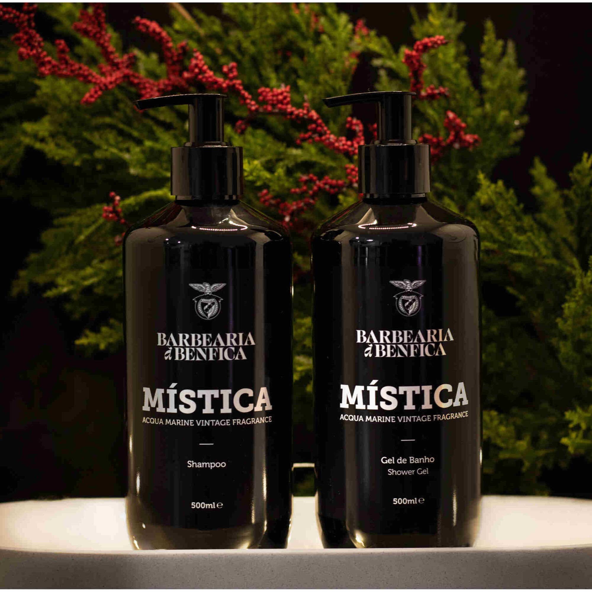 Coffret Mística SLB