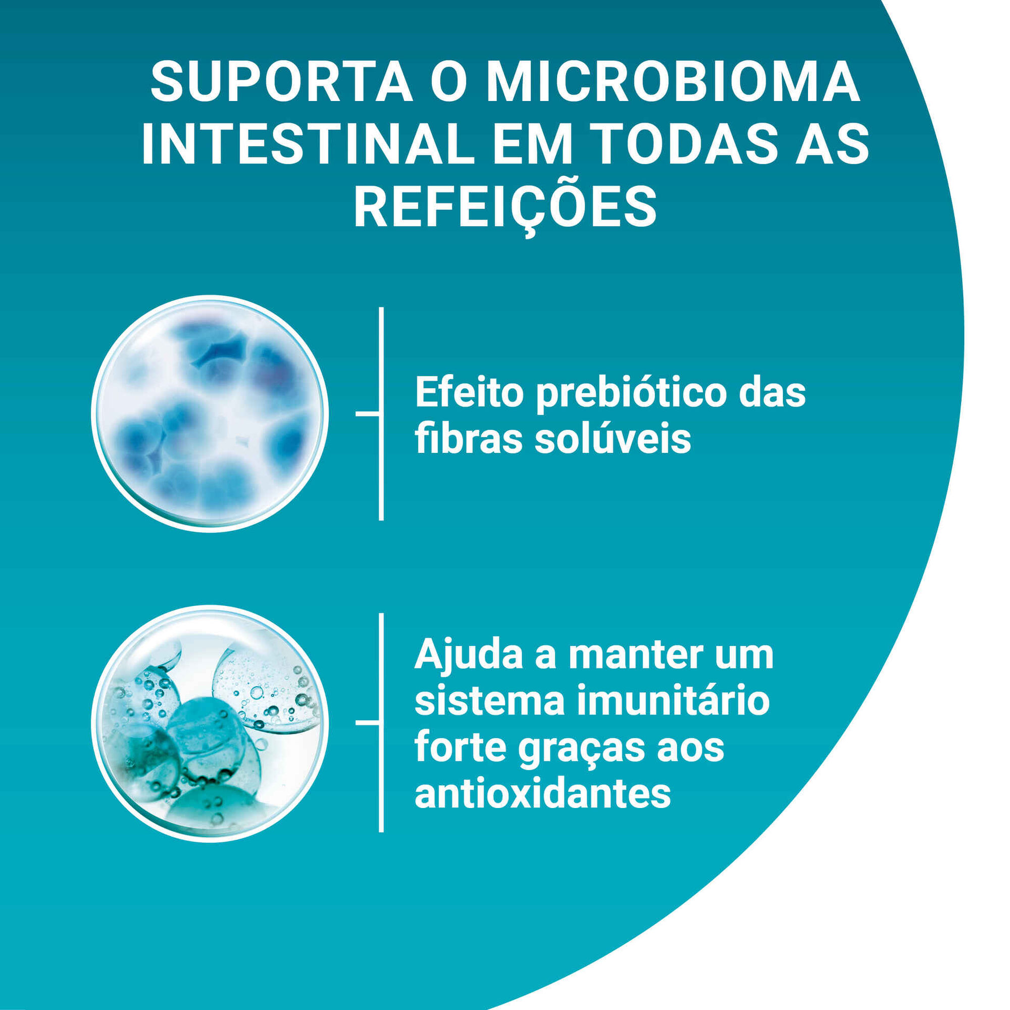 Comida Húmida para Gato Júnior Salmão Saquetas