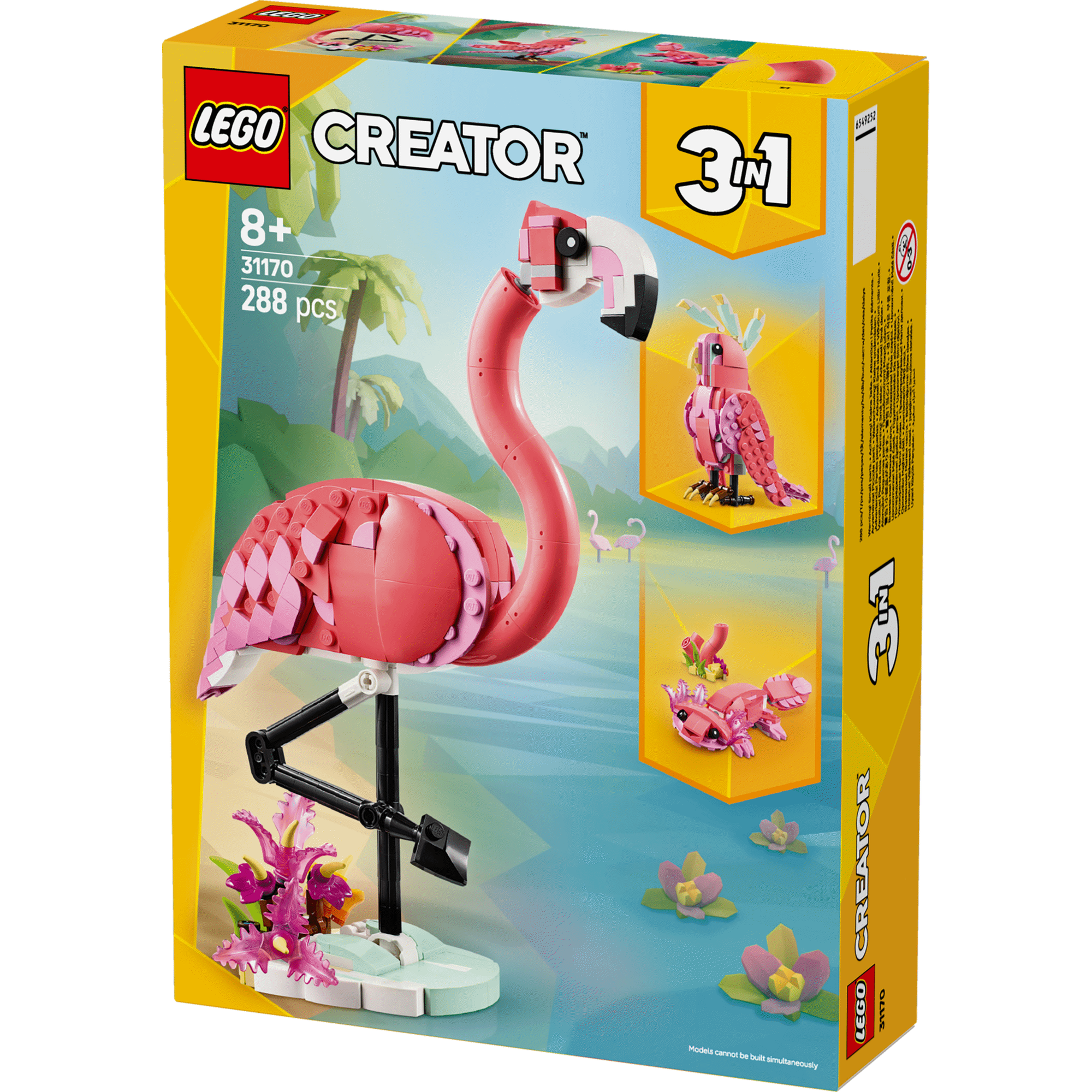Animais Selvagens: Flamingo Cor-de-rosa - 31170