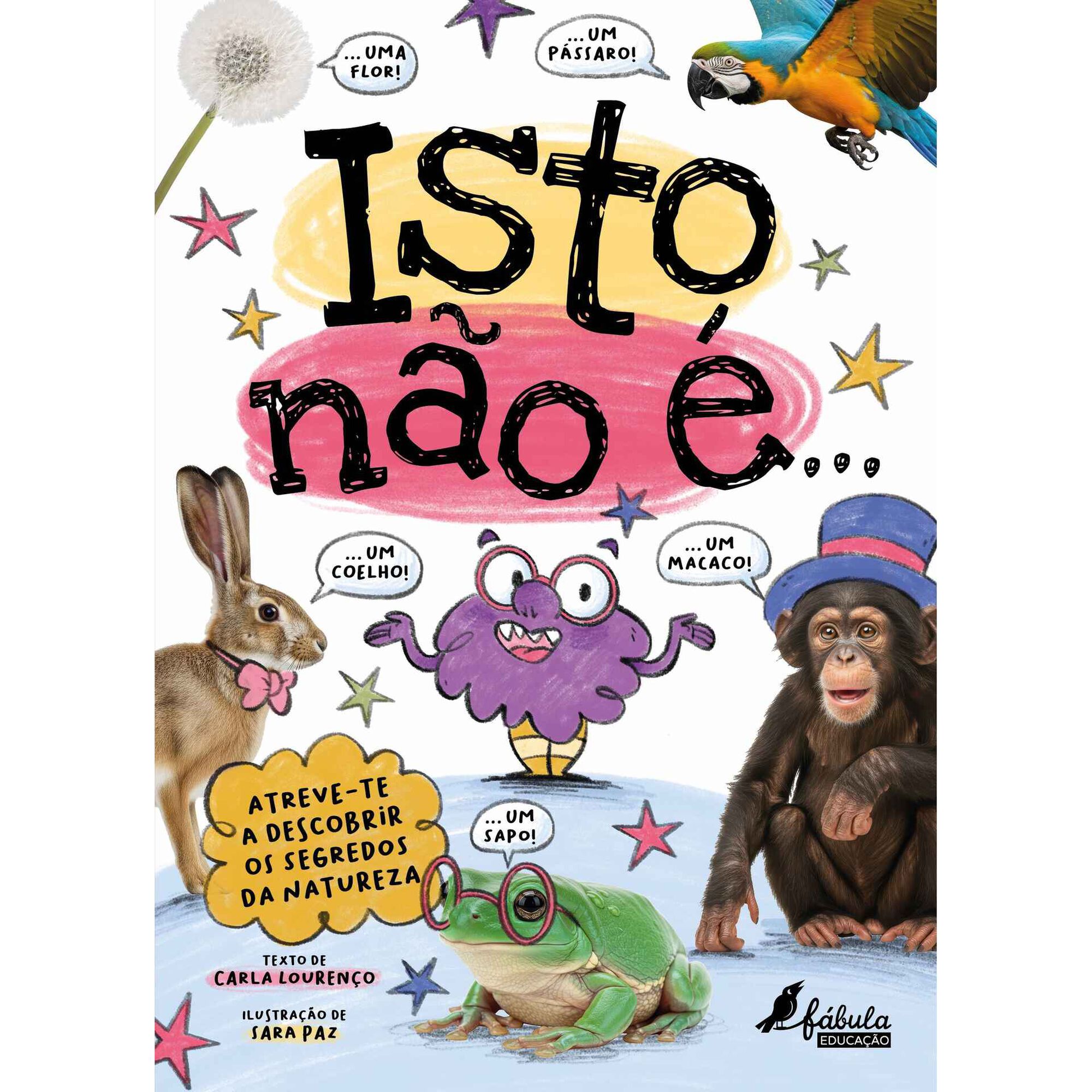 Isto n&atilde;o &eacute;... de Carla Louren&ccedil;o