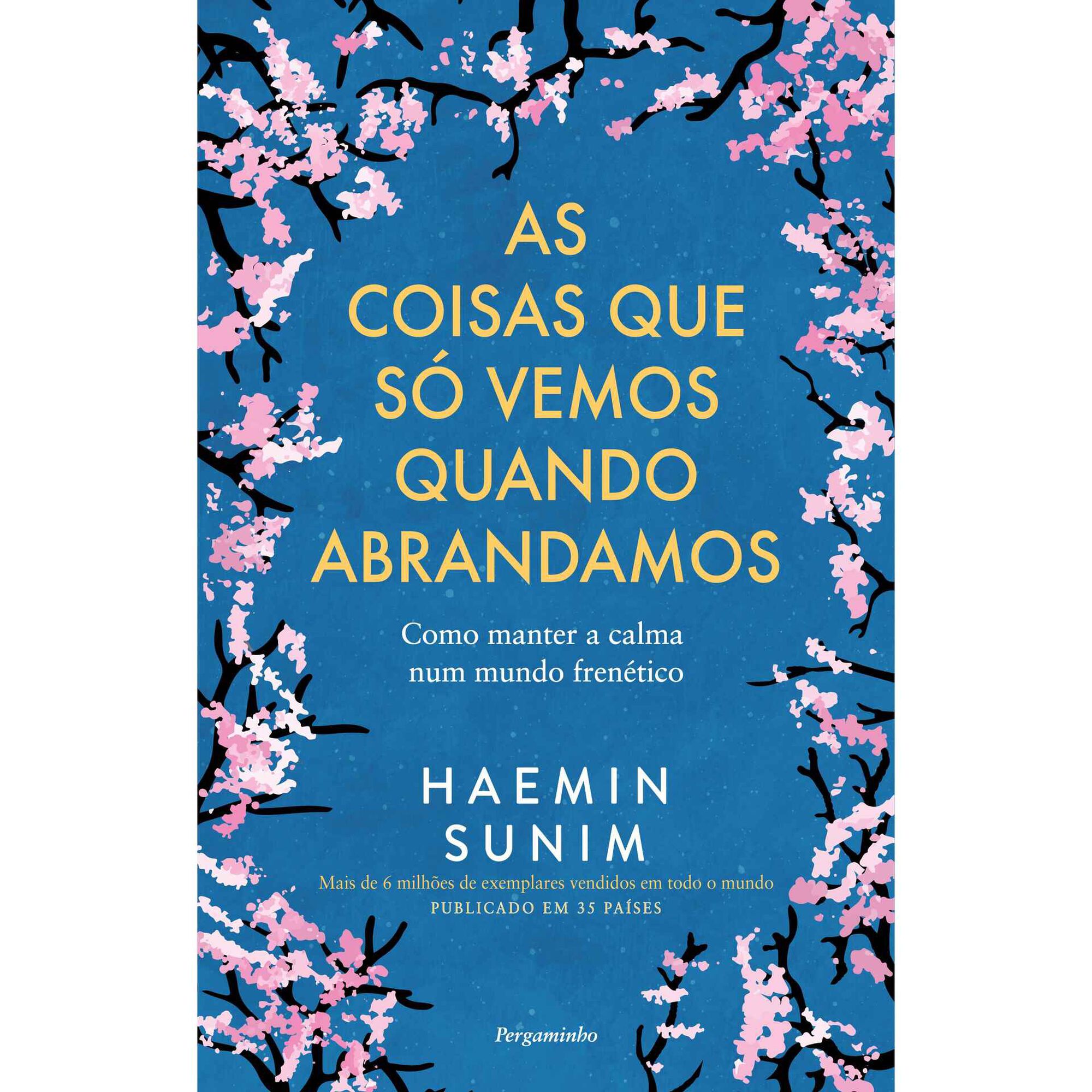 As Coisas que Só Vemos Quando Abrandamos