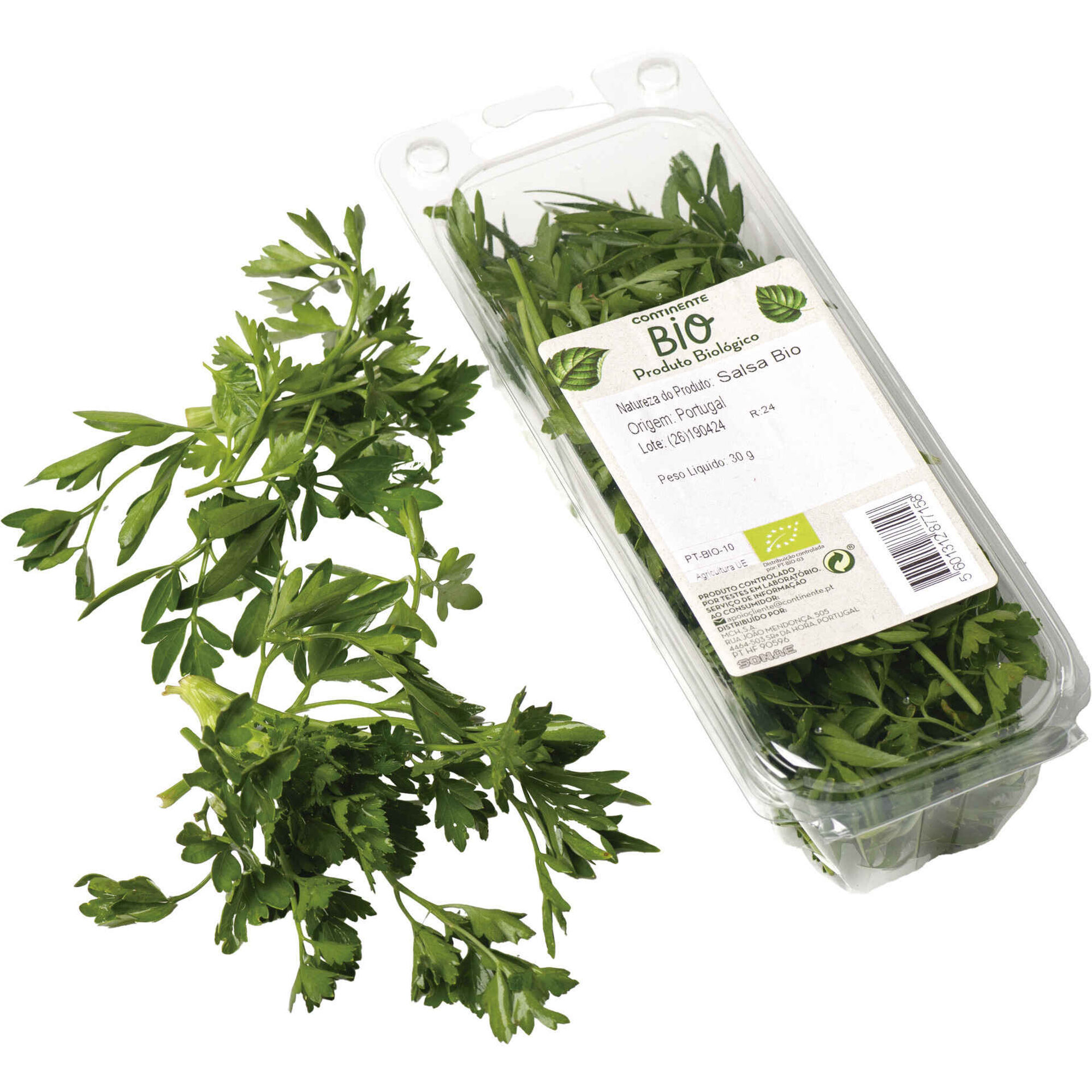 Salsa Biológica Fresca