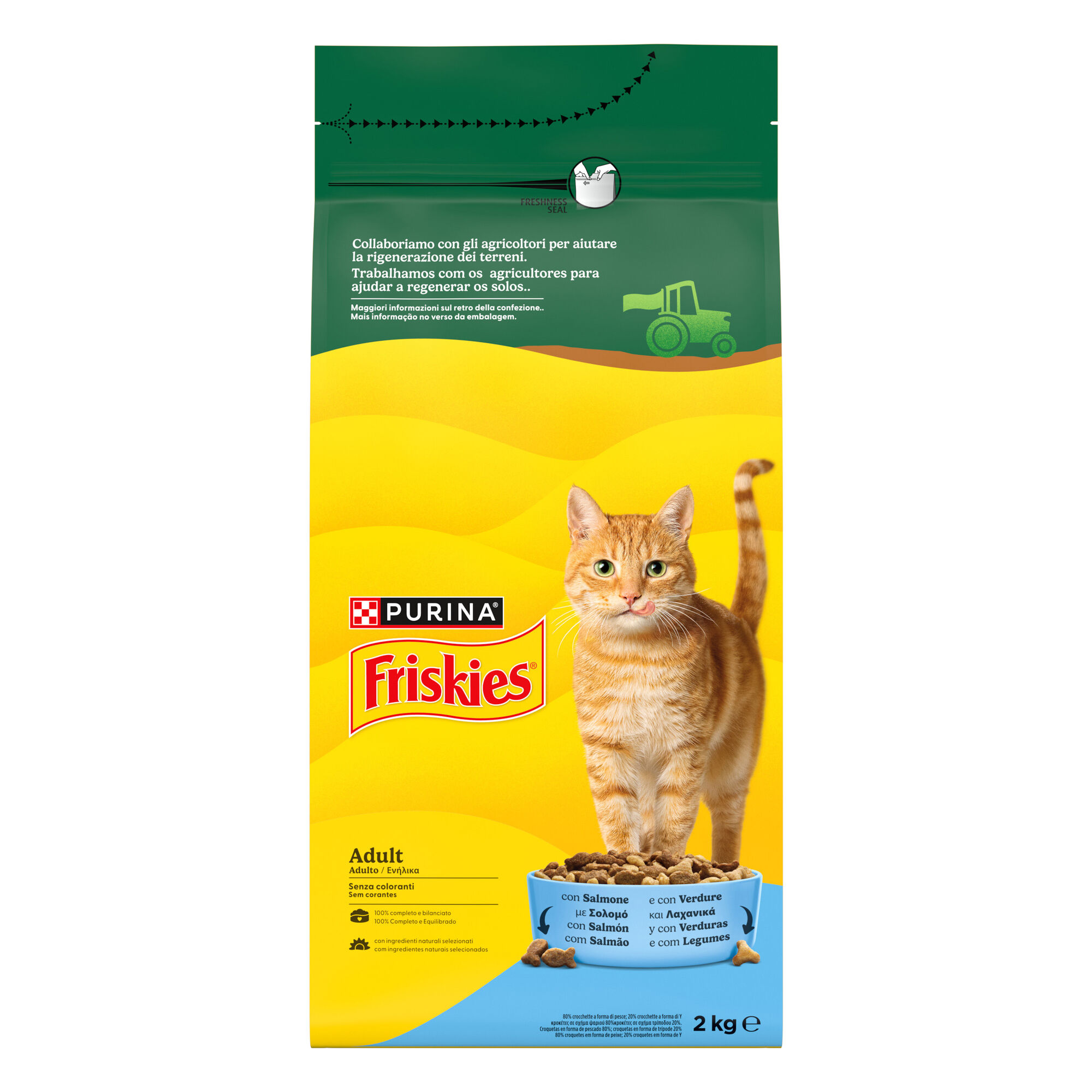 Ra&ccedil;&atilde;o para Gato Adulto Salm&atilde;o Purina Friskies