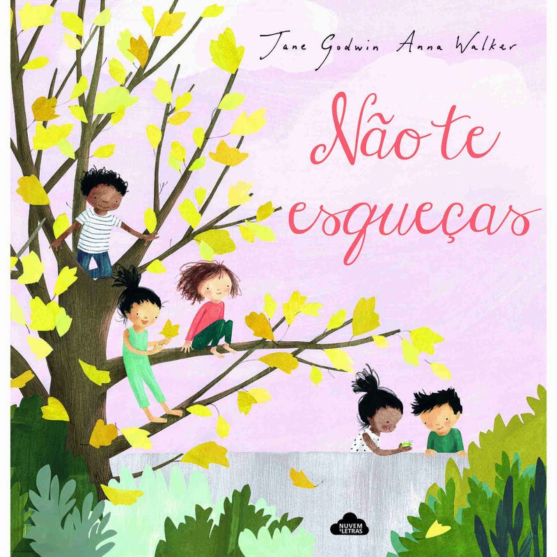 Não Te Esqueças de Jane Godwin