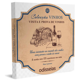 Visita e Prova de Vinhos