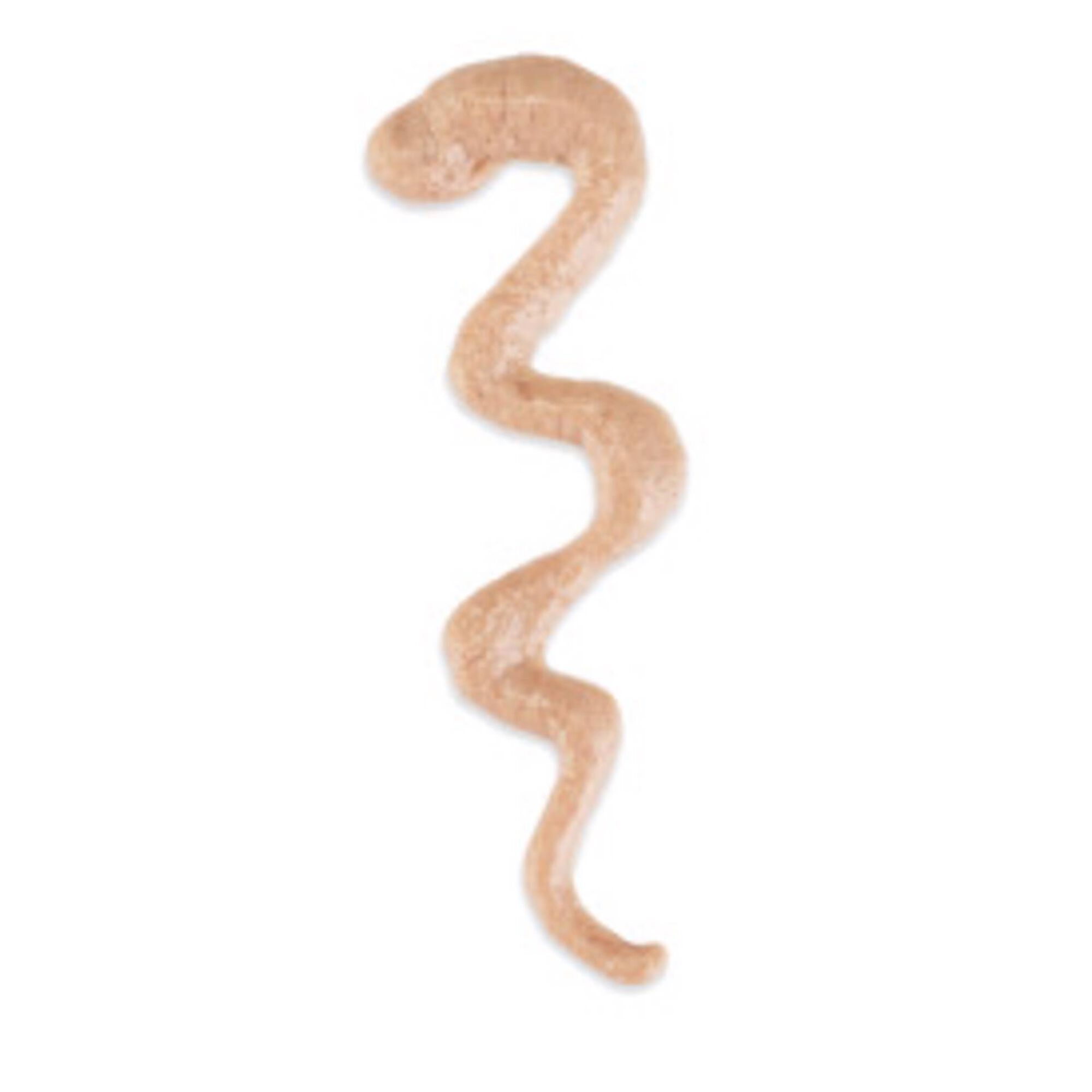 Pur&eacute; para Gato Stix Atum Schesir