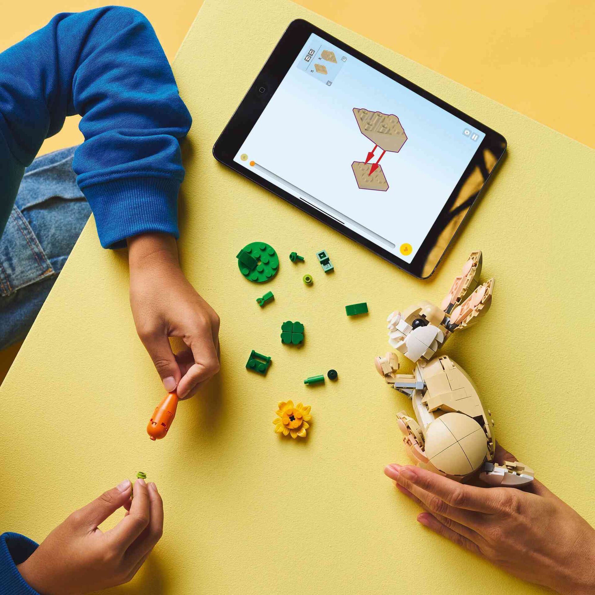 Coelhinho Adorável - 31162