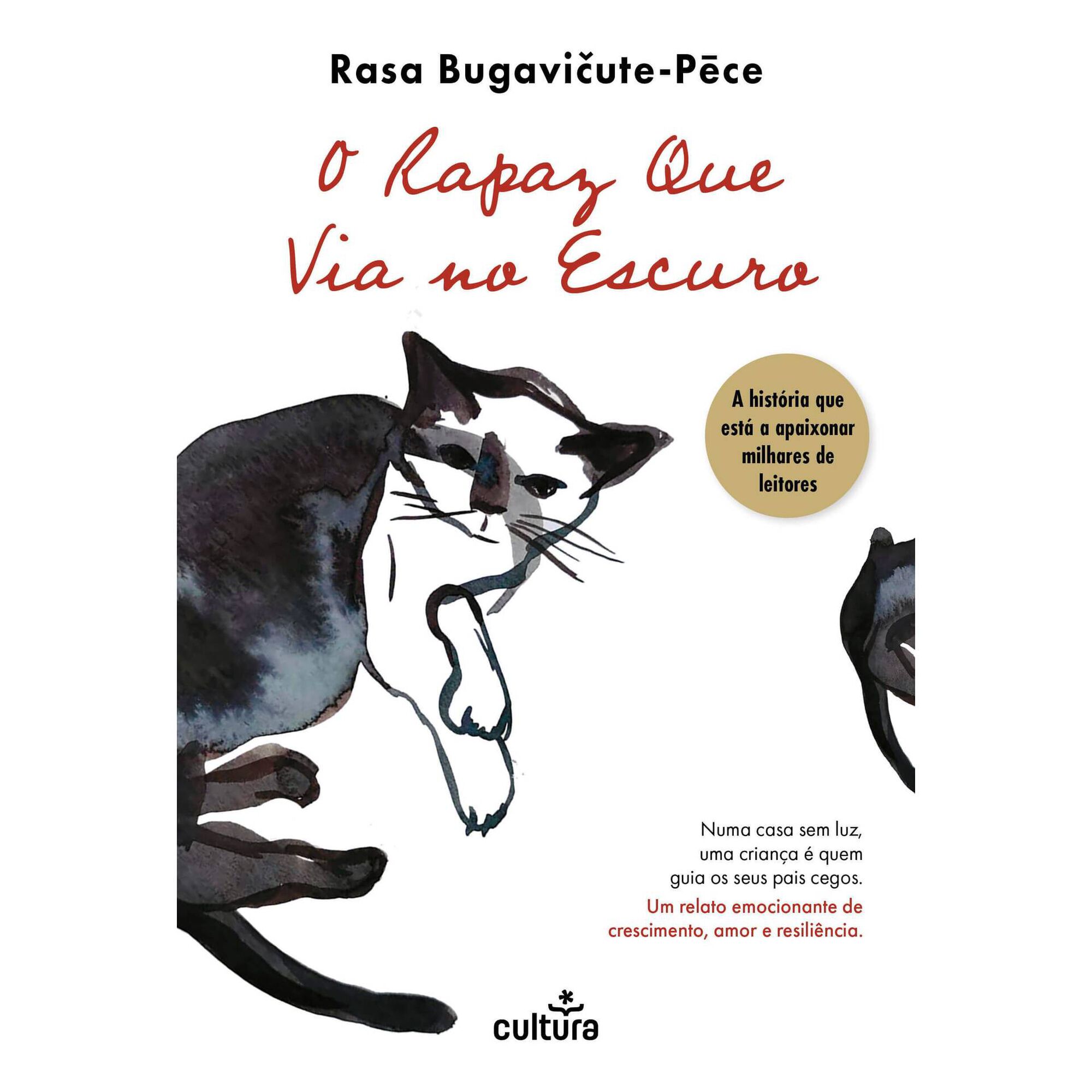 O Rapaz que Via no Escuro