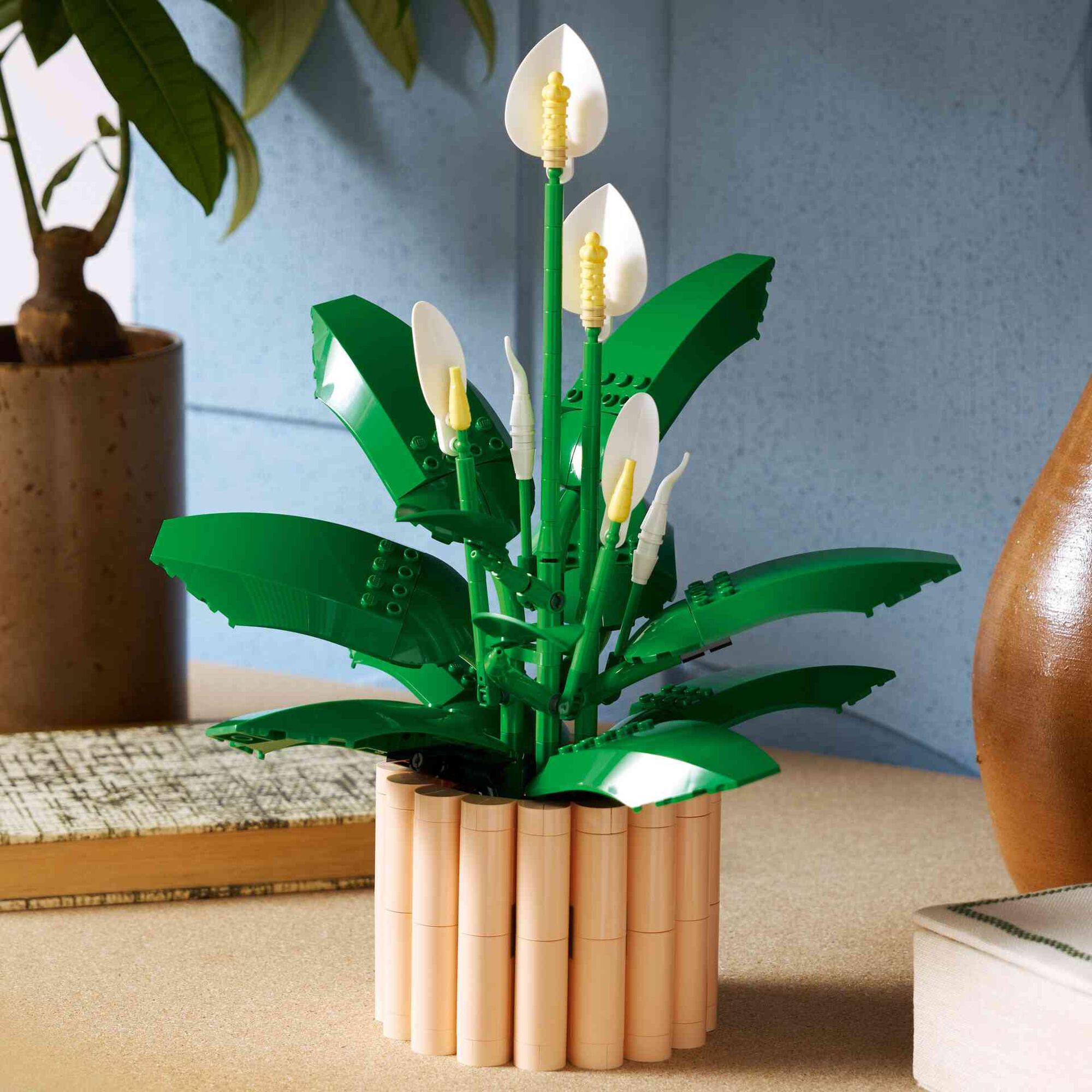 Lírio-da-paz - 11504