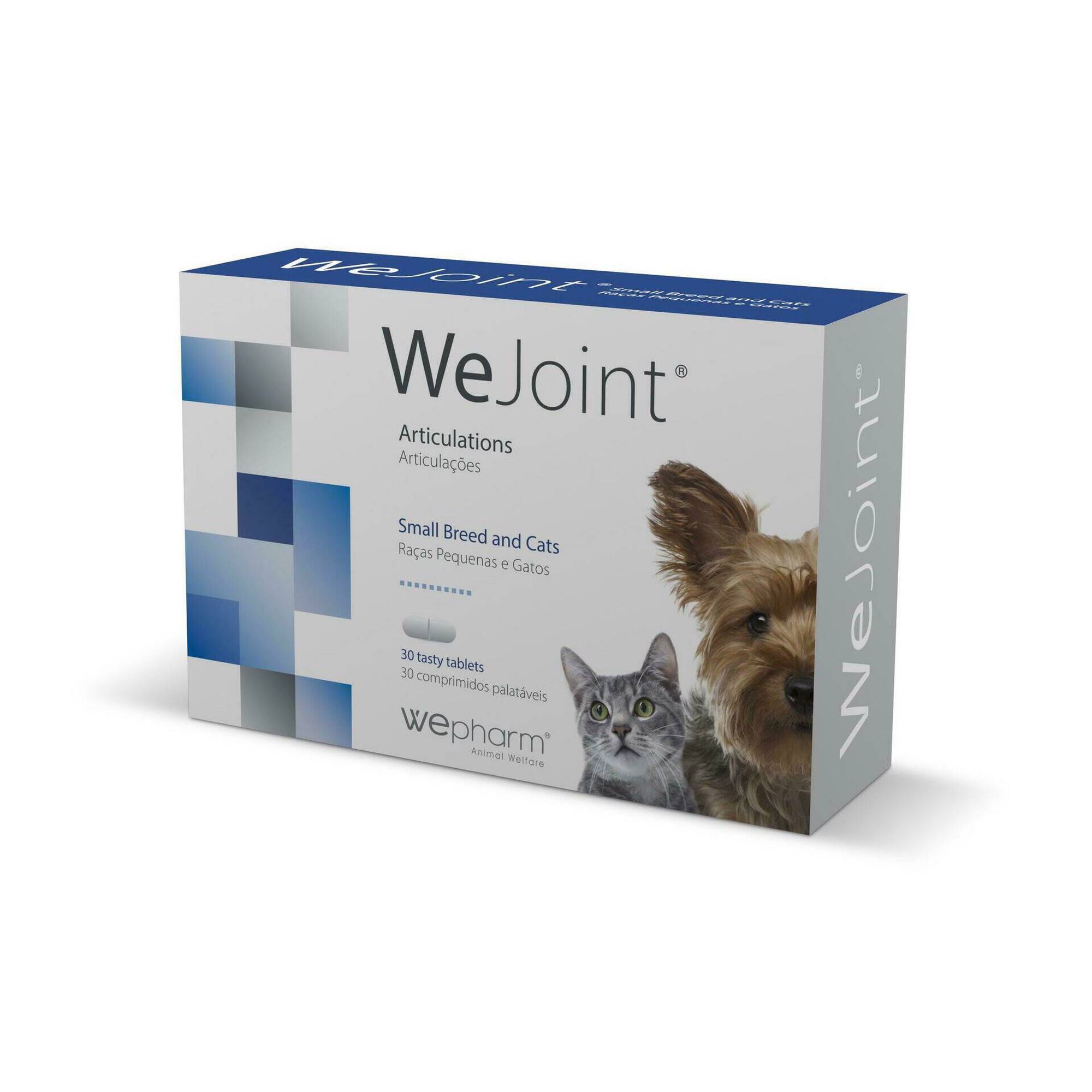 WeJoint Raças Pequenas e Gatos WeJoint Raças Pequenas e Gatos