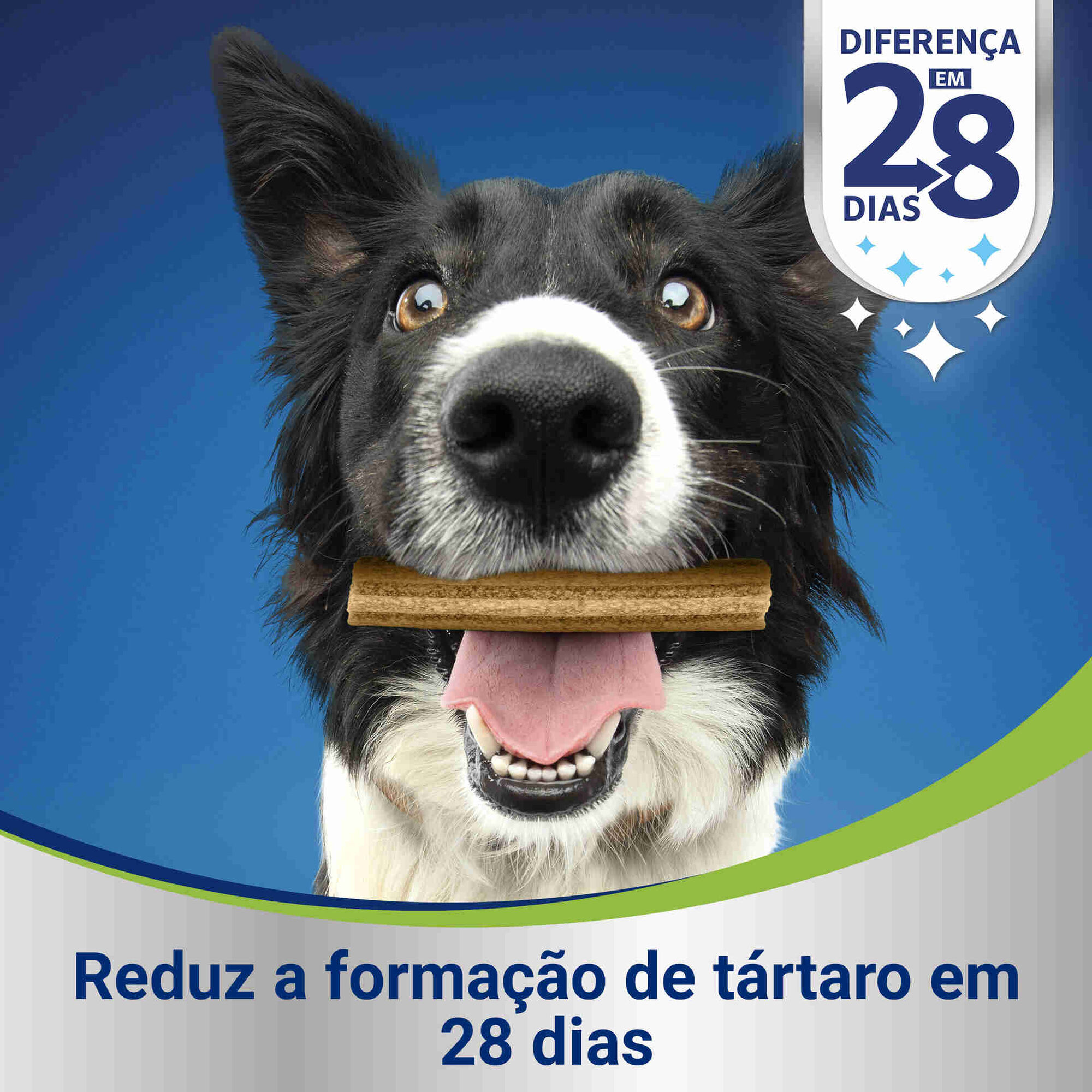 Snack para Cão Médio Higiene Oral Diária