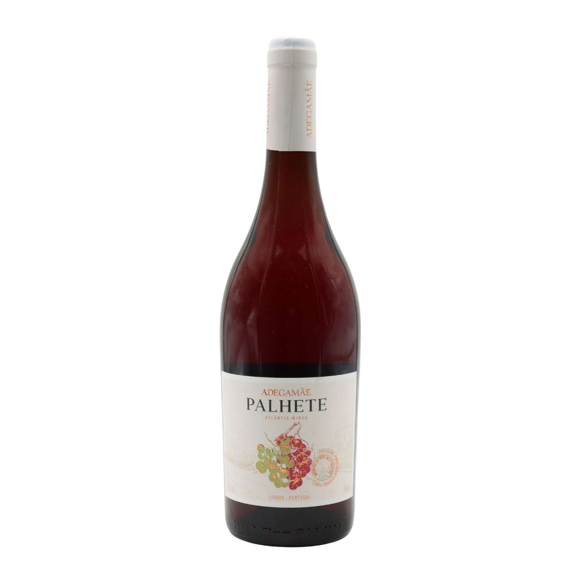 Adega M&atilde;e Palhete Lisboa Vinho Tinto