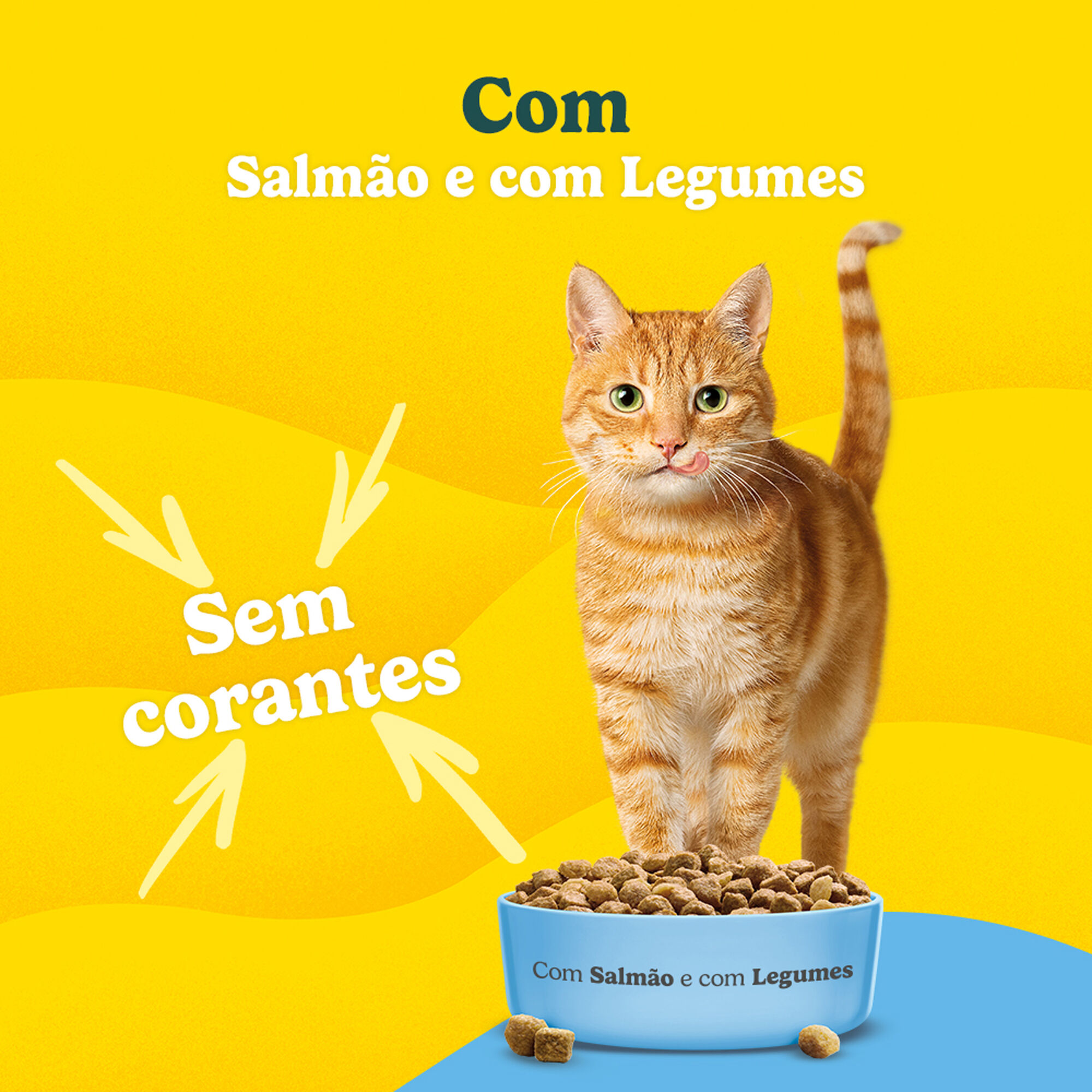 Ra&ccedil;&atilde;o para Gato Adulto Salm&atilde;o Purina Friskies