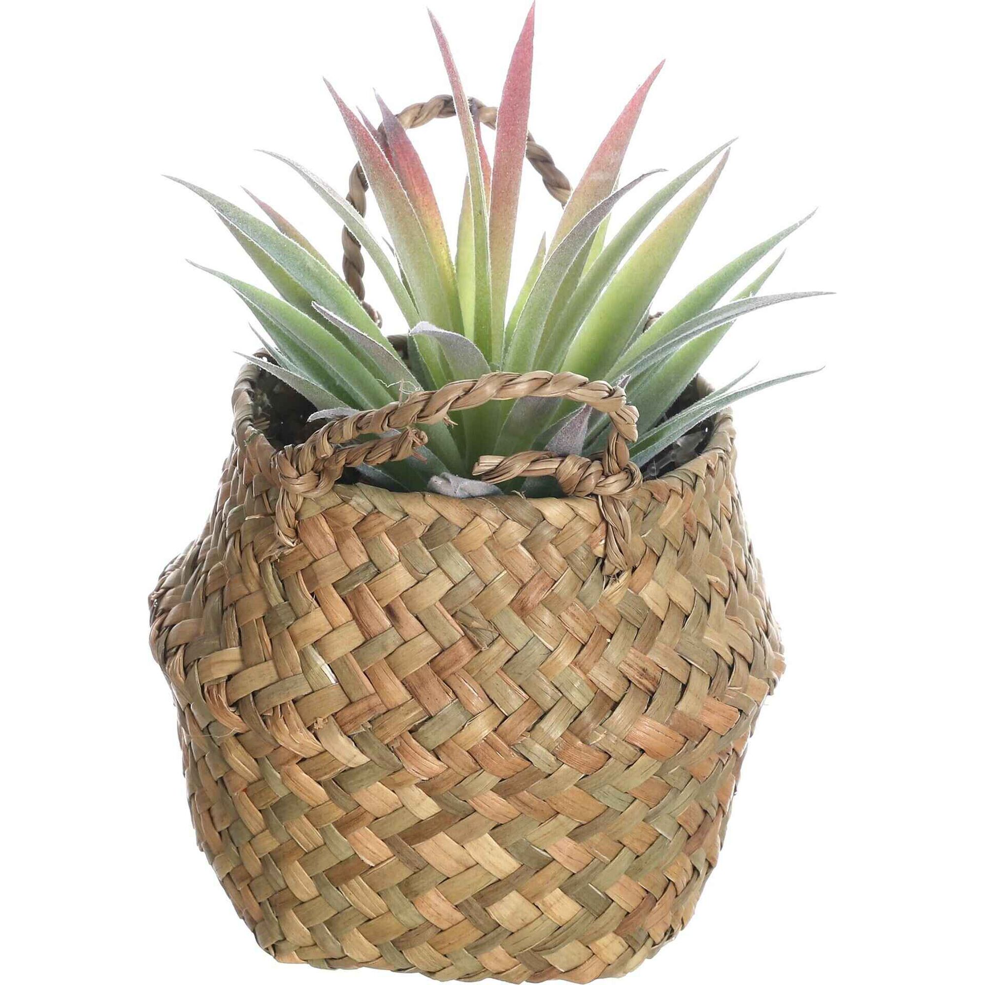 Planta Artificial Suculenta Aloe com Cesto com Asas
