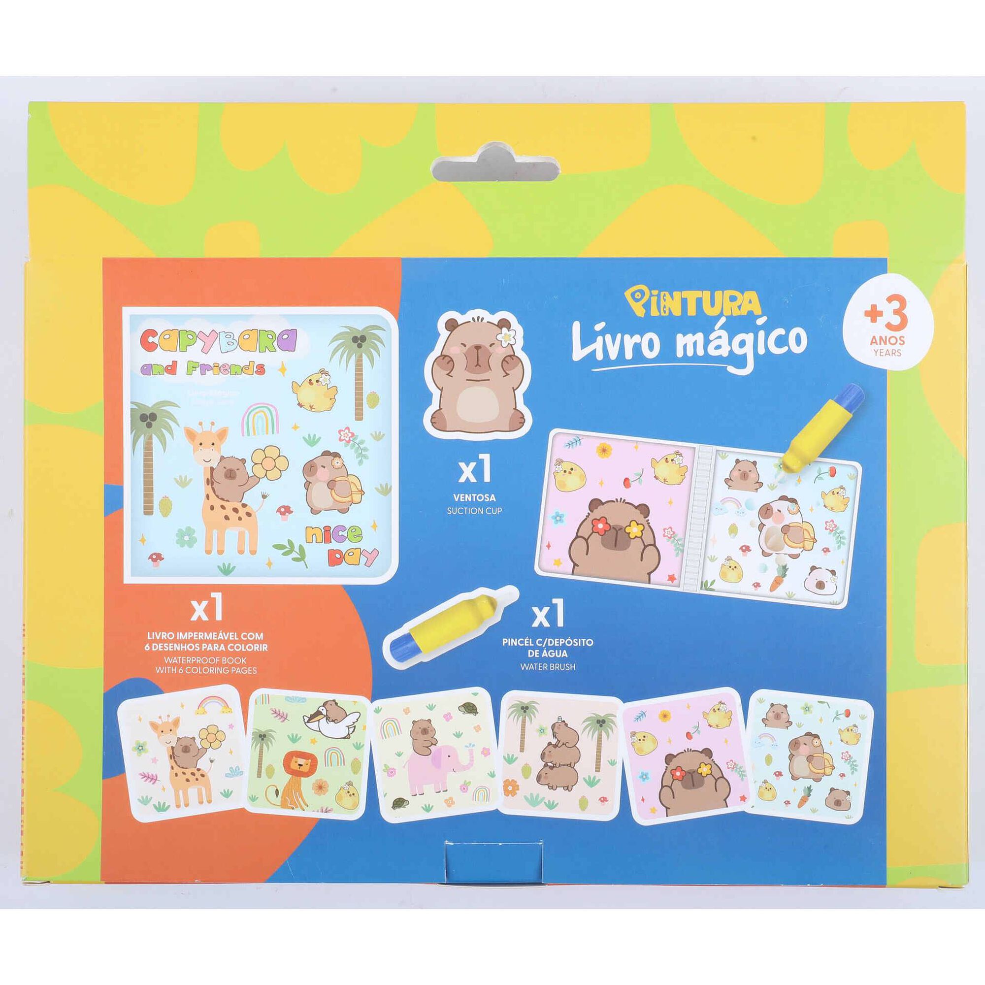 Kit de  Livro M&aacute;gico (v&aacute;rios modelos) Pintura
