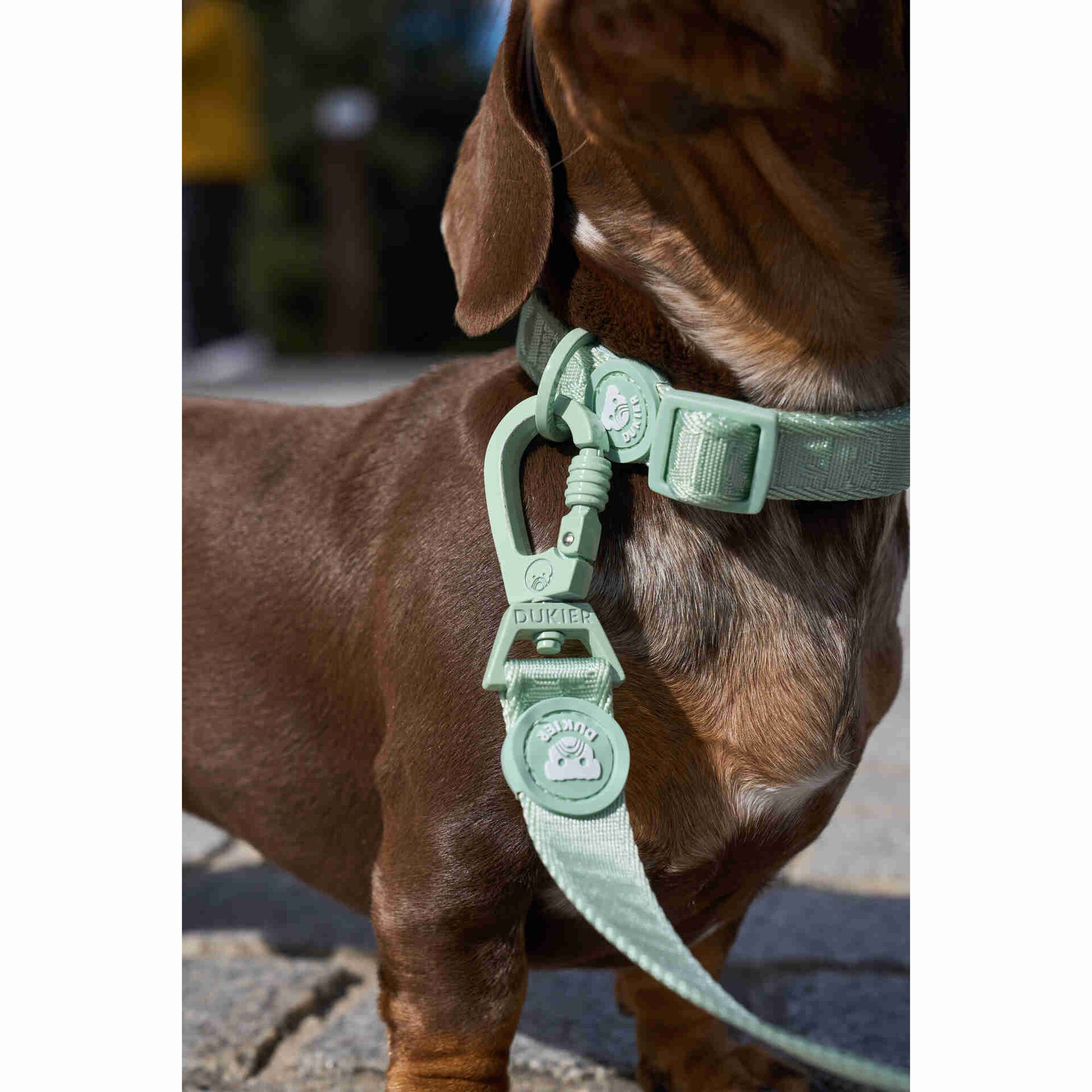 Coleira para C&atilde;o Soft Green XS Dukier
