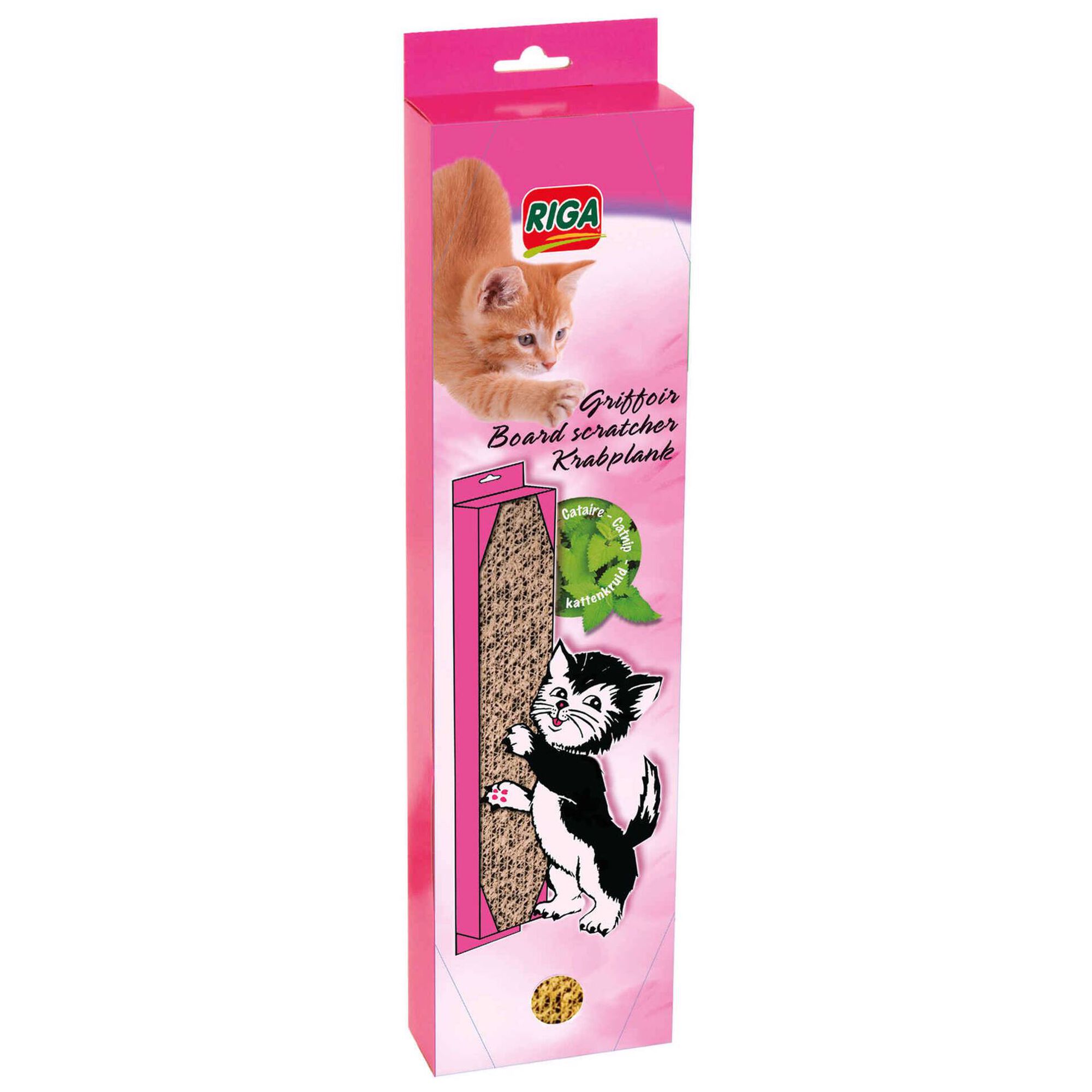 Arranhador para Gato em Cartão