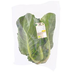 Couve Portuguesa Biológica