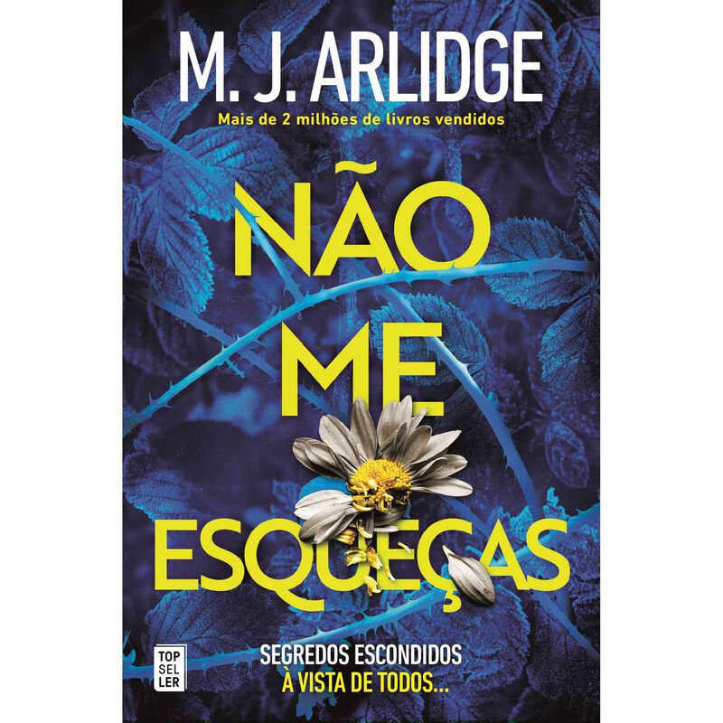 Não Me Esqueças: Segredos Escondidos de M.J. Arlidge