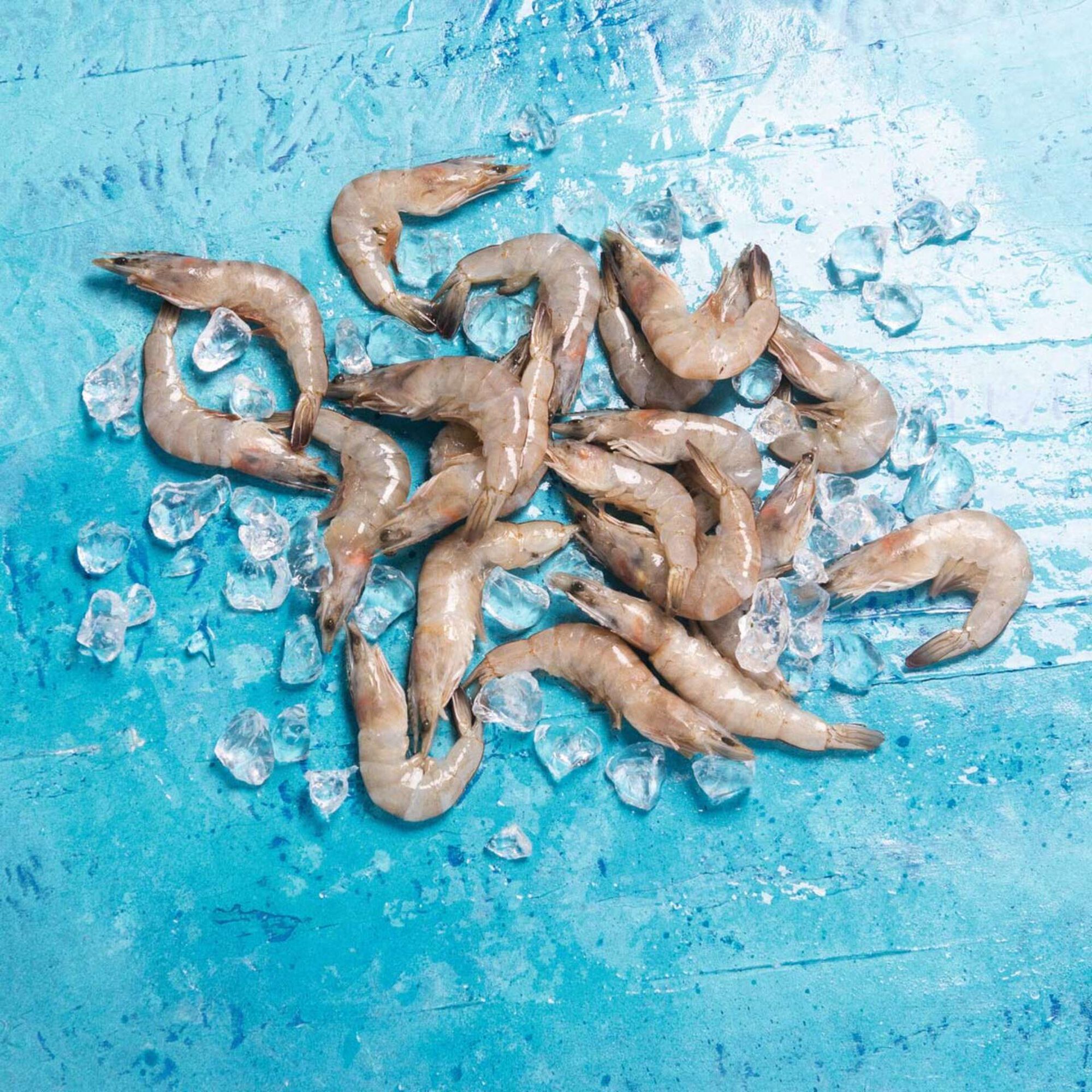 Camarão Aquacultura 60/80 Congelado Camarão Aquacultura 60/80 Congelado