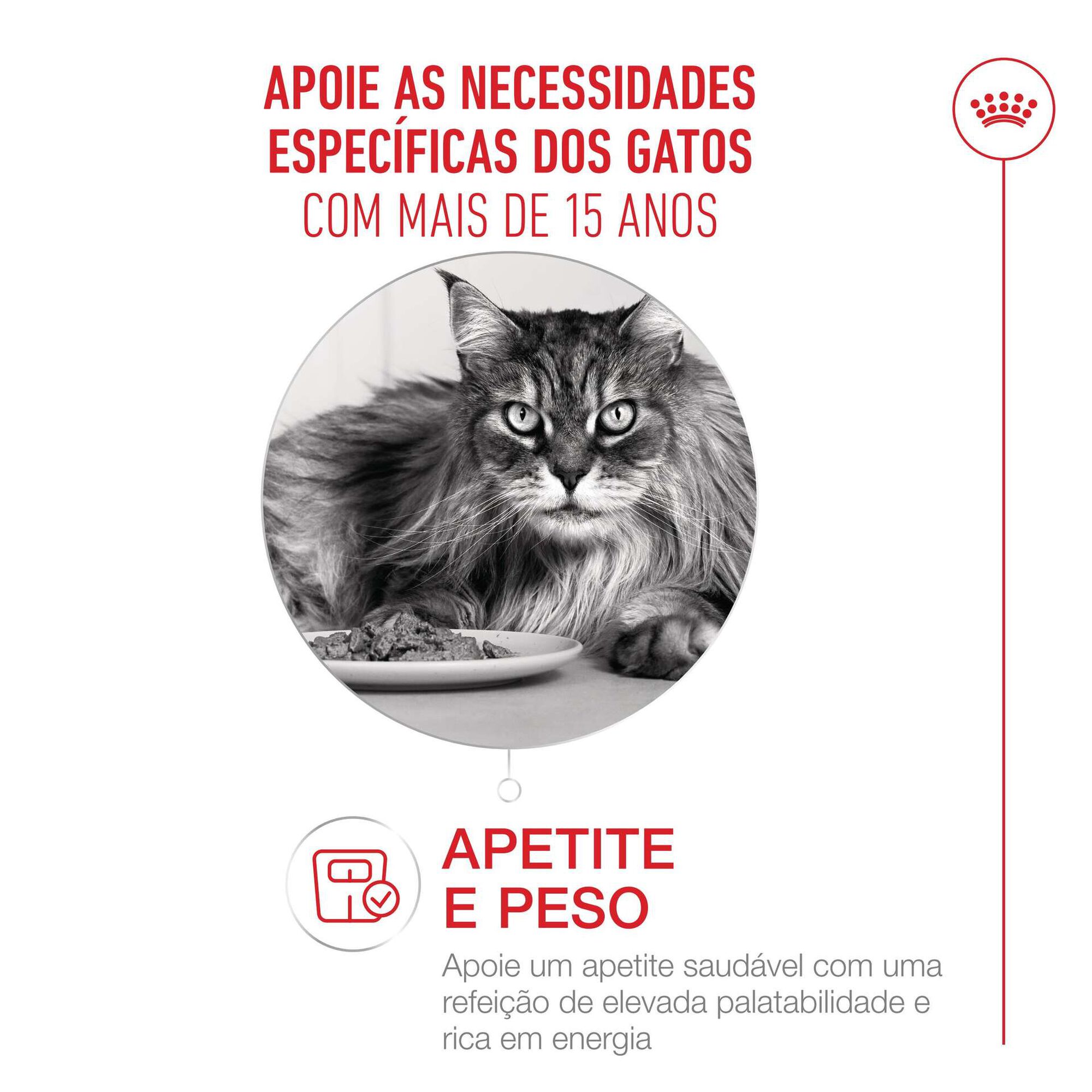 Ra&ccedil;&atilde;o para Gato S&eacute;nior Ageing+15 Royal Canin
