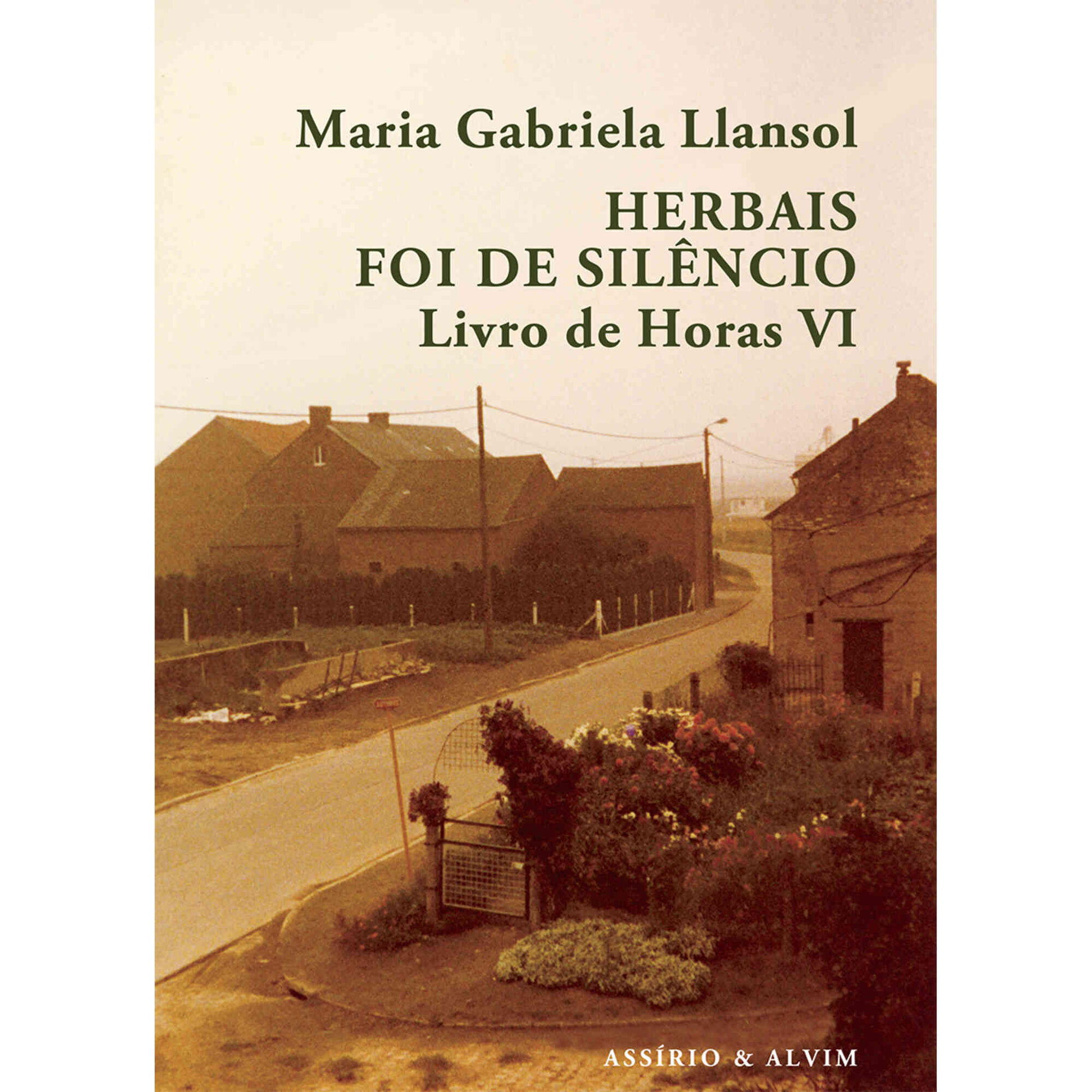 Herbais foi de Sil&ecirc;ncio de Maria Gabriela Llansol
