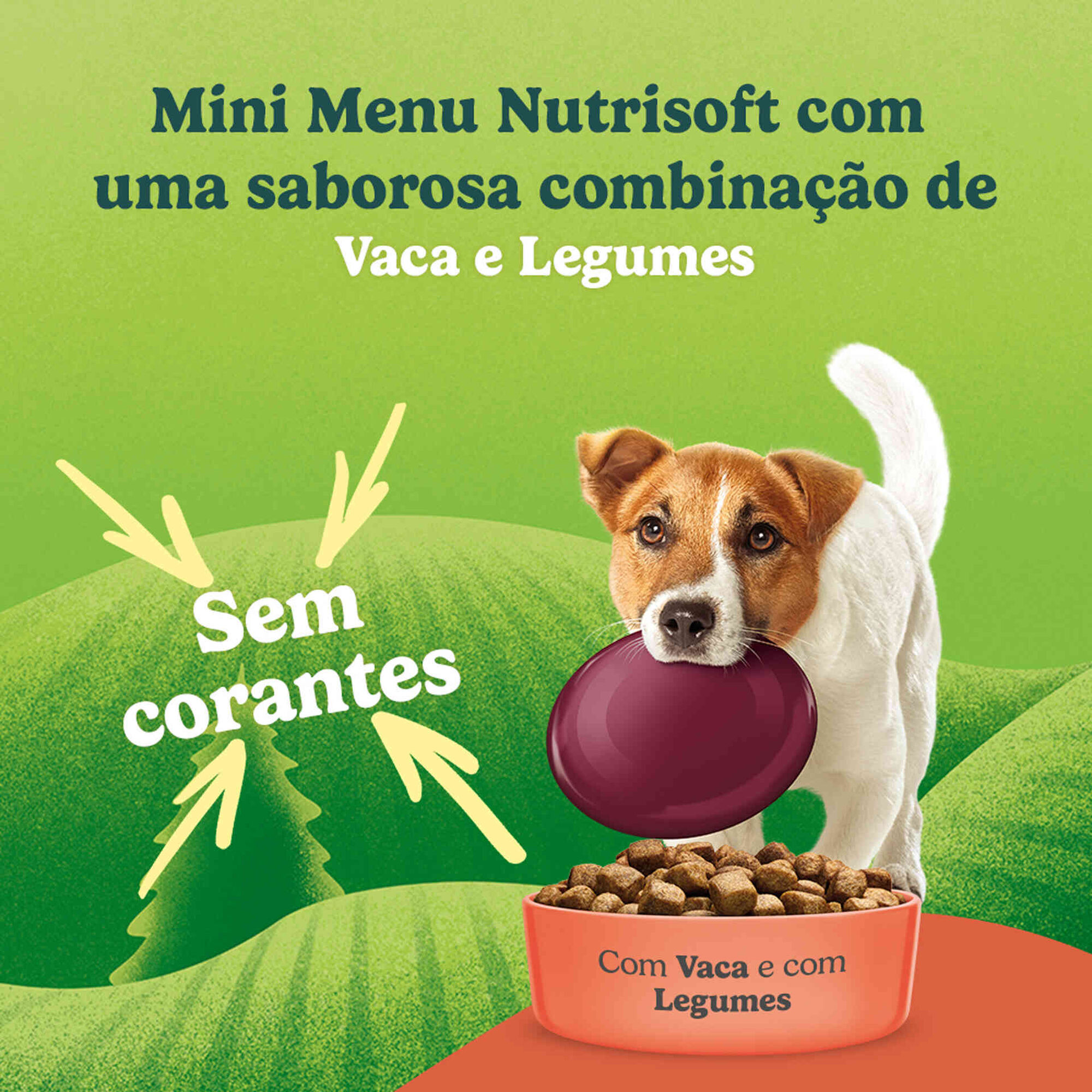 Ra&ccedil;&atilde;o para C&atilde;o Adulto Mini Menu Nutrisoft Vaca Purina Friskies