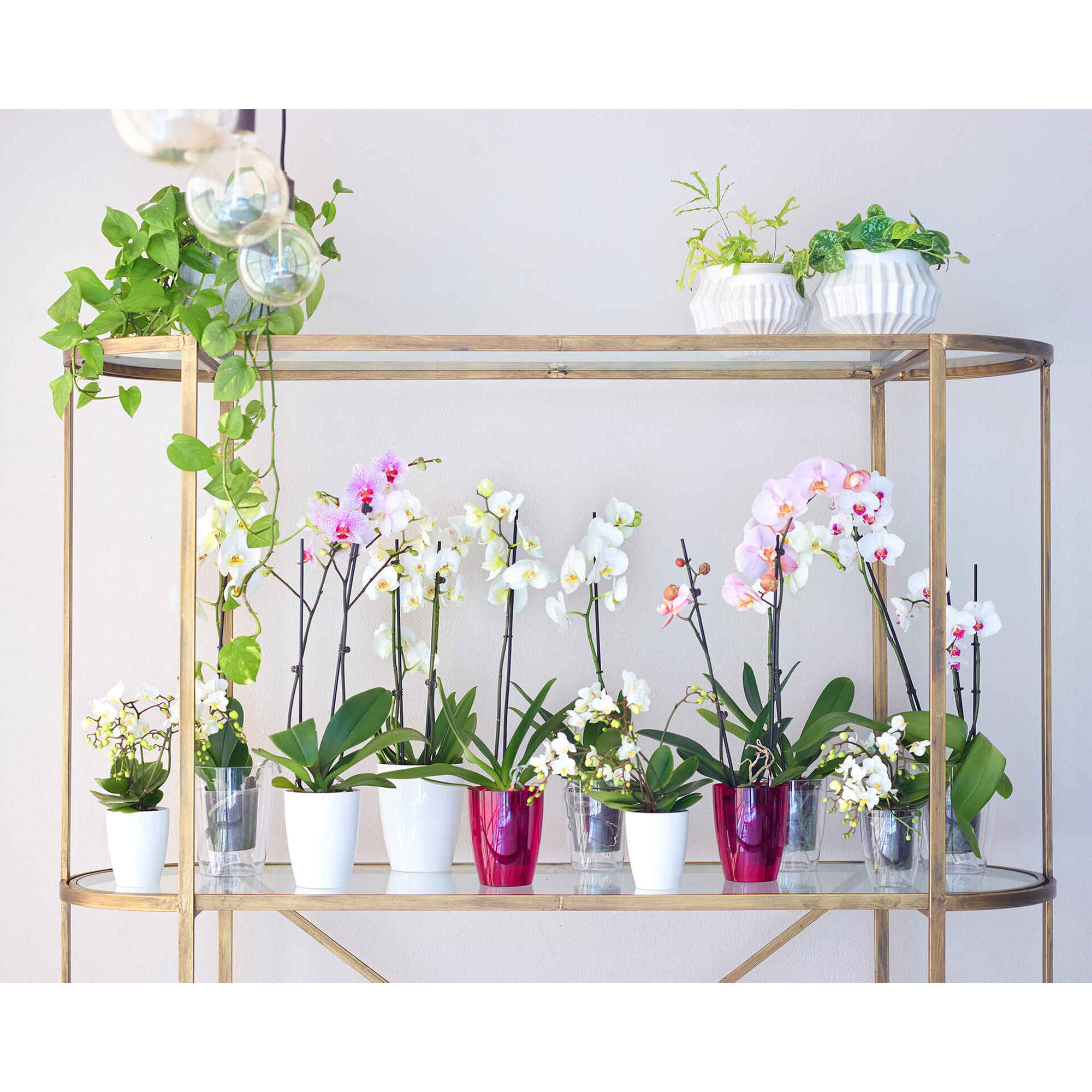 Vaso Redondo Plástico 15cm