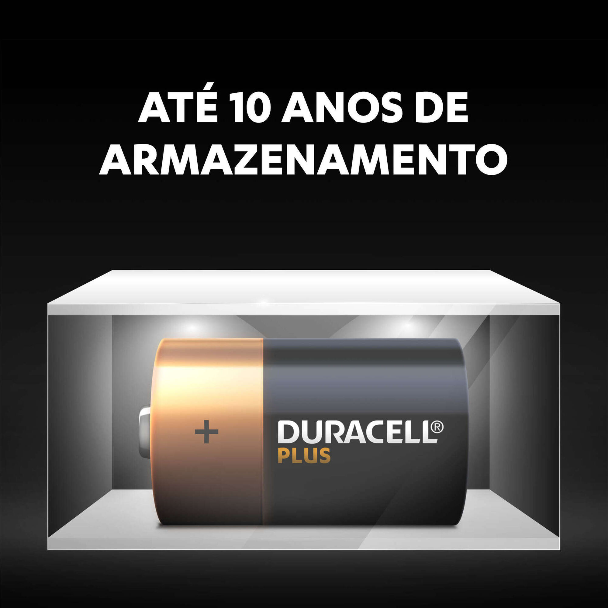 Pilhas D Plus Pilhas D Plus