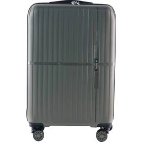 Mala de Cabine 8 Rodas Verde Passport