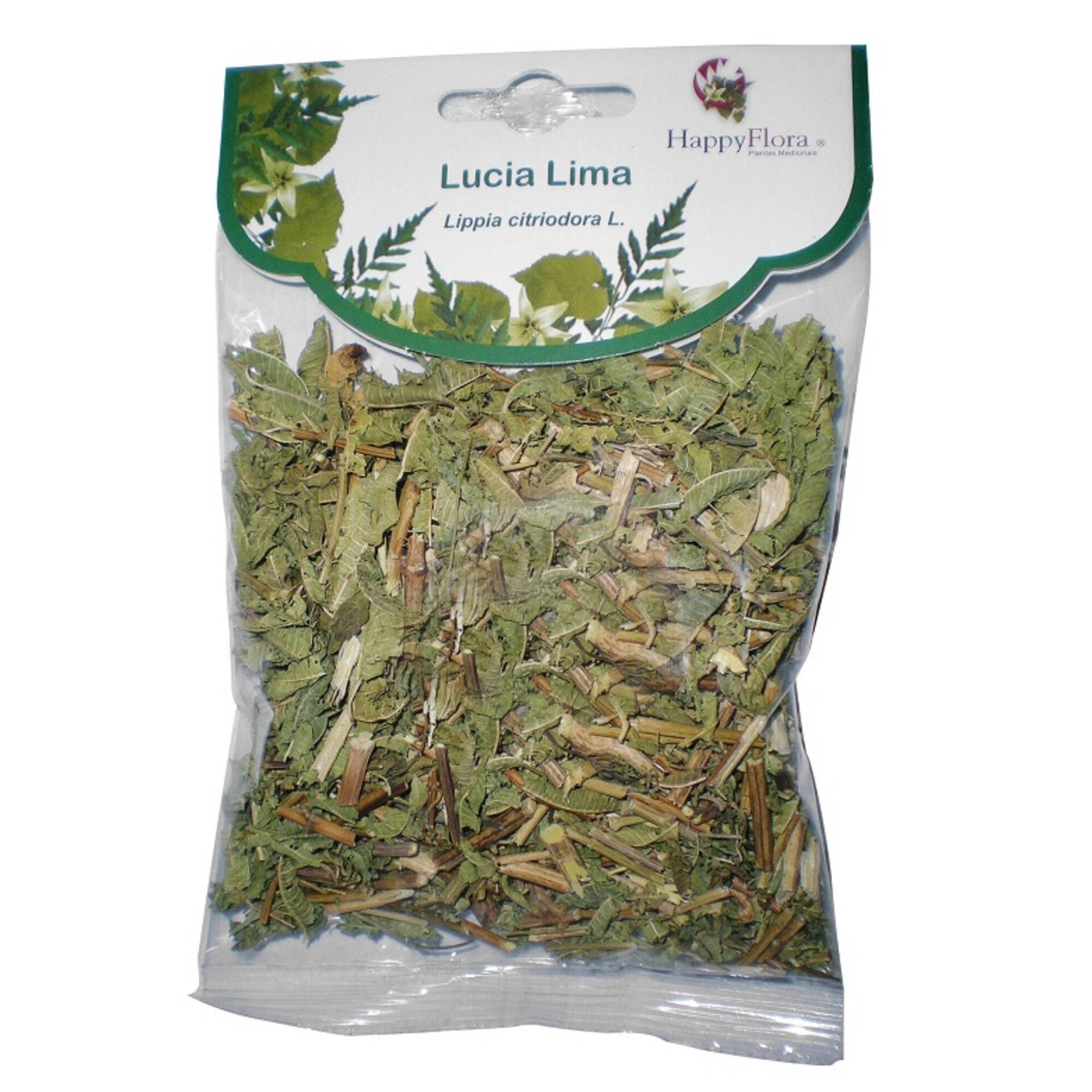 Chá Lúcia-Lima Planta