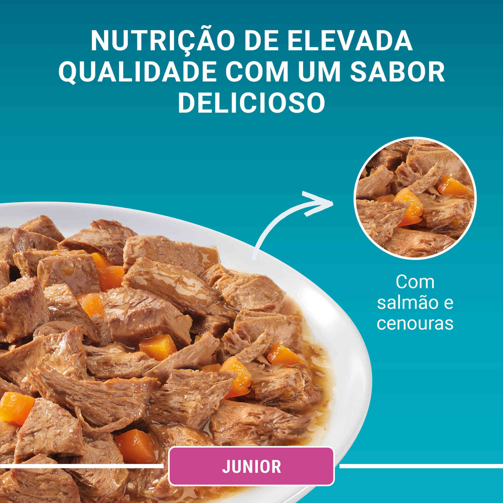 Comida Húmida para Gato Júnior Salmão Saquetas