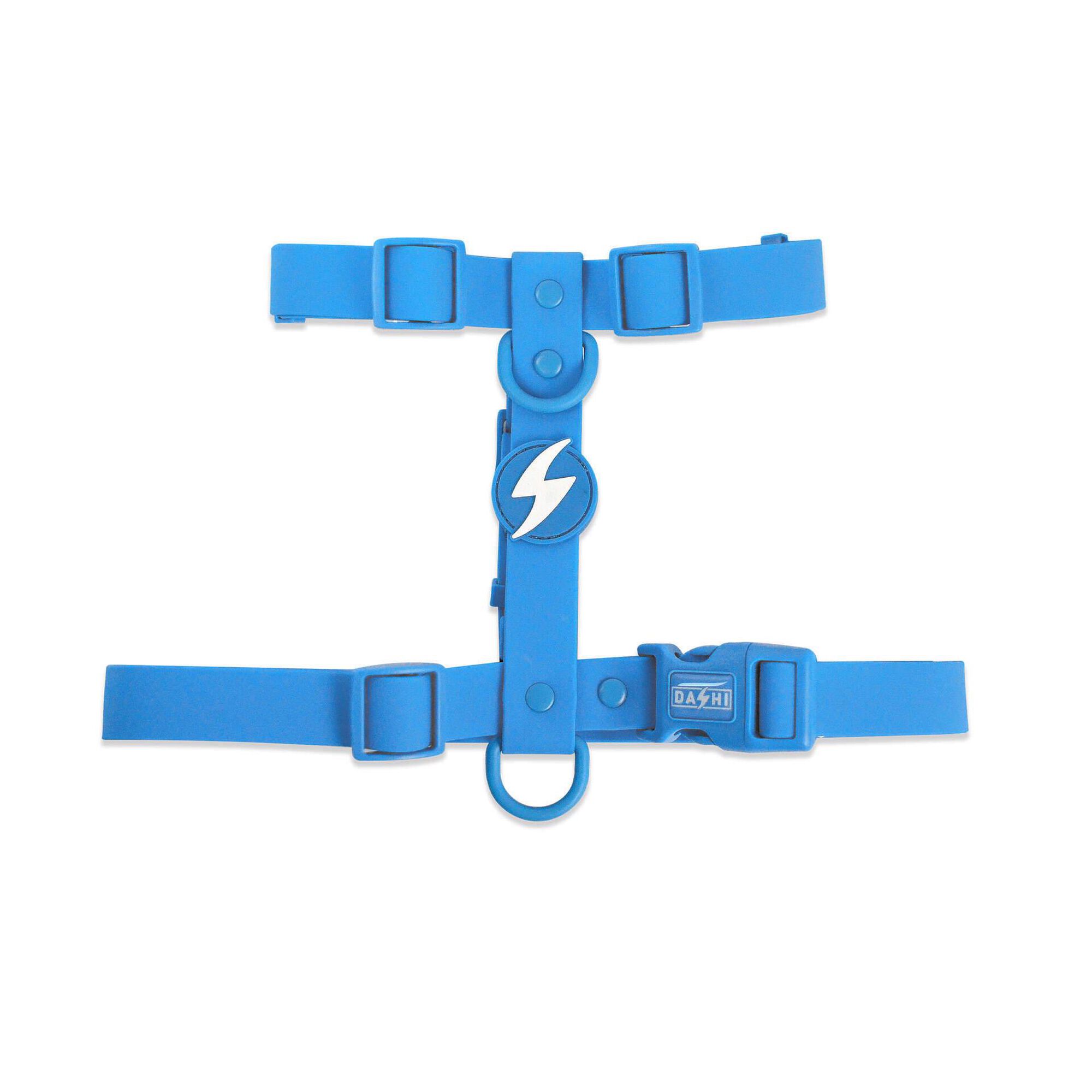 Arn&ecirc;s Azul XS Dashi