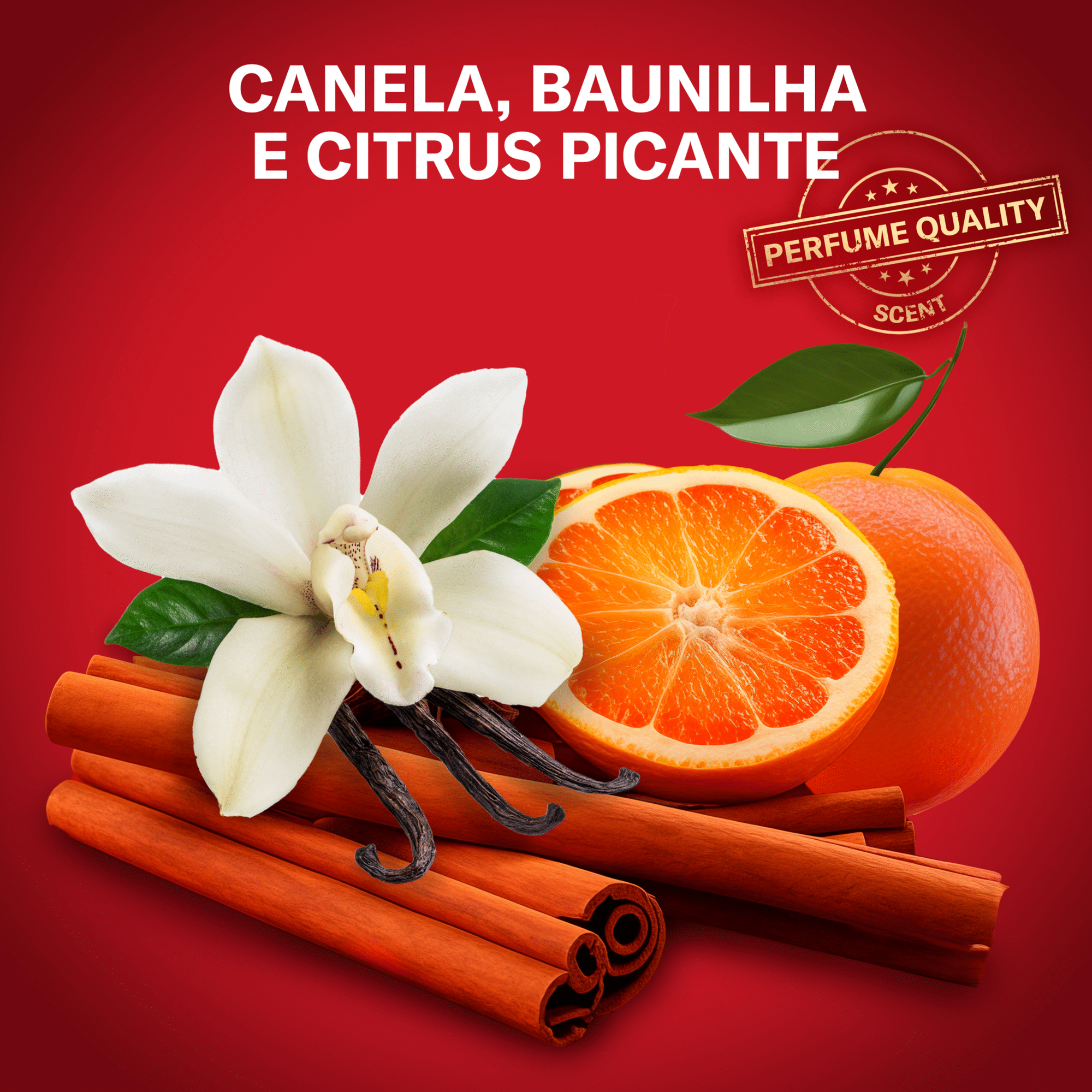 Desodorizante Stick Original