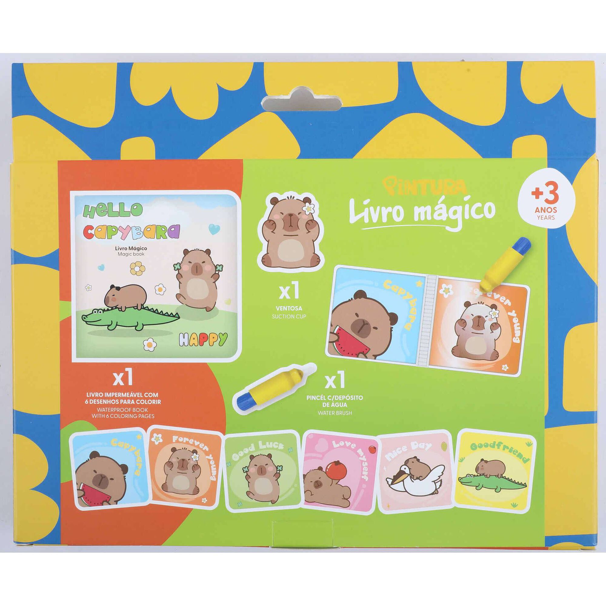 Kit de  Livro M&aacute;gico (v&aacute;rios modelos) Pintura
