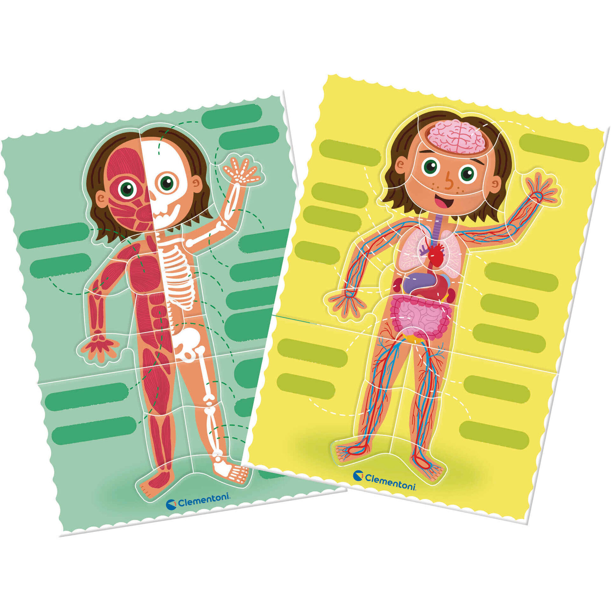 Jogo de Tabuleiro Montessori - Corpo Humano