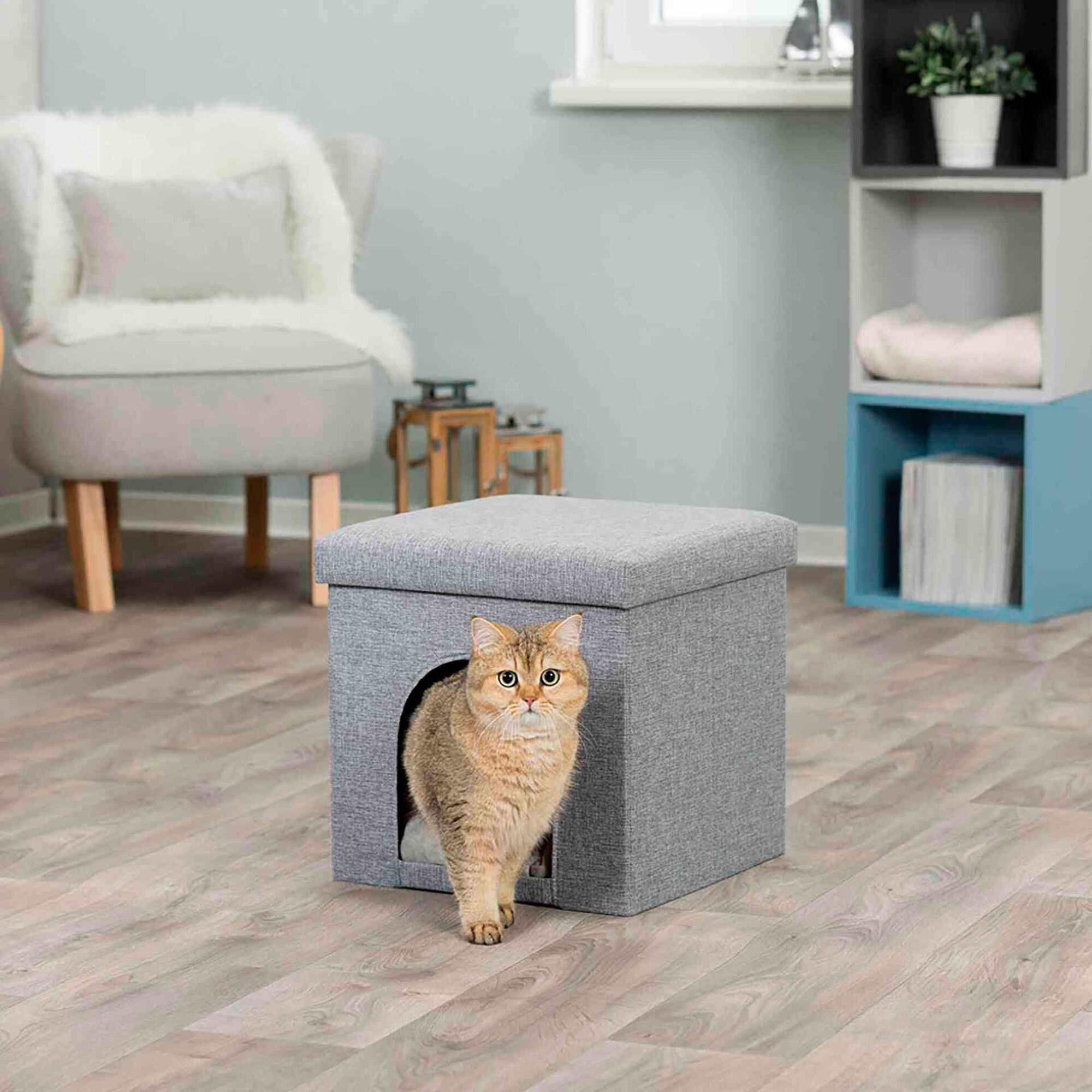 Igloo Alois Cinza 38x40x38cm Igloo Alois Cinza 38x40x38cm