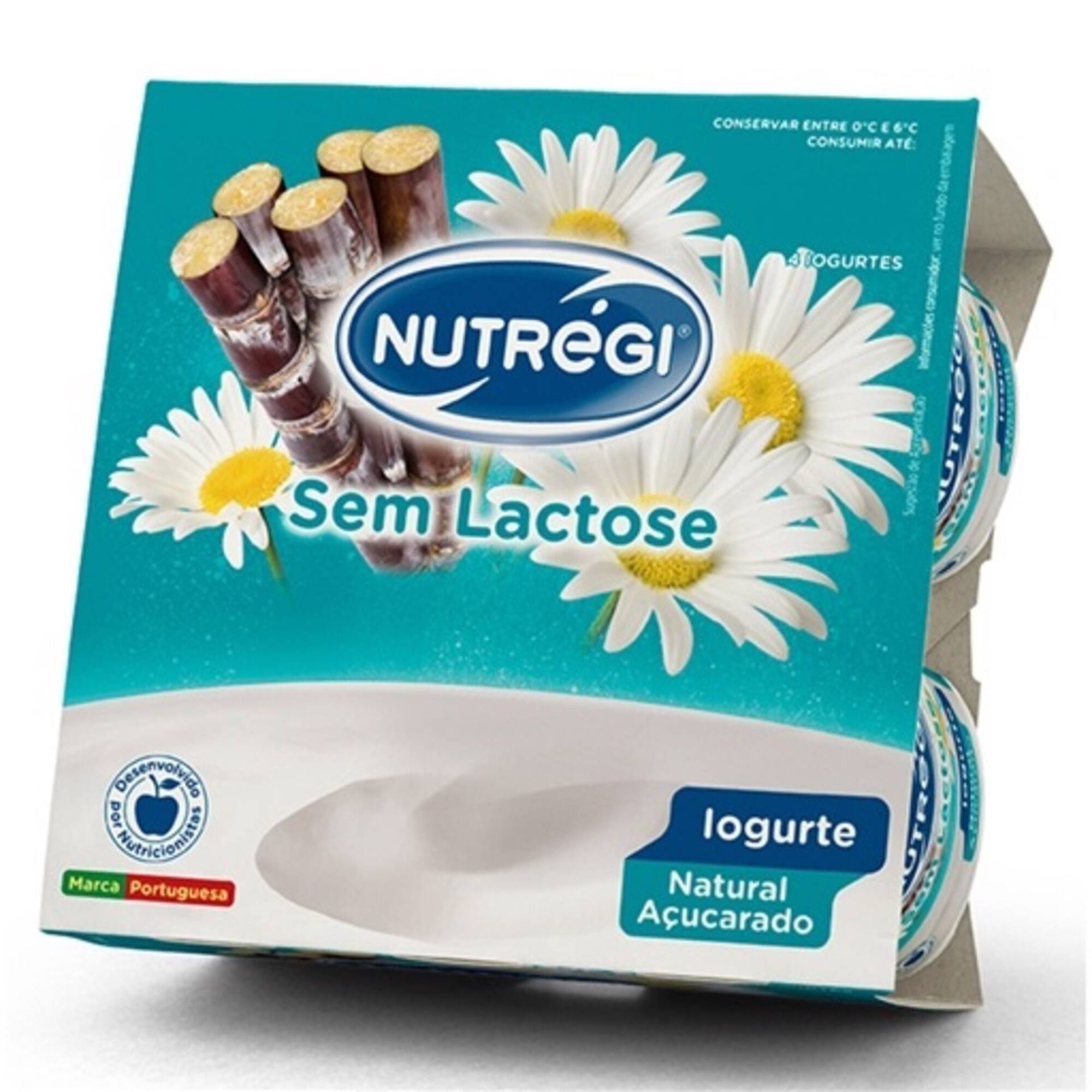 Iogurte Natural Açucarado sem Lactose