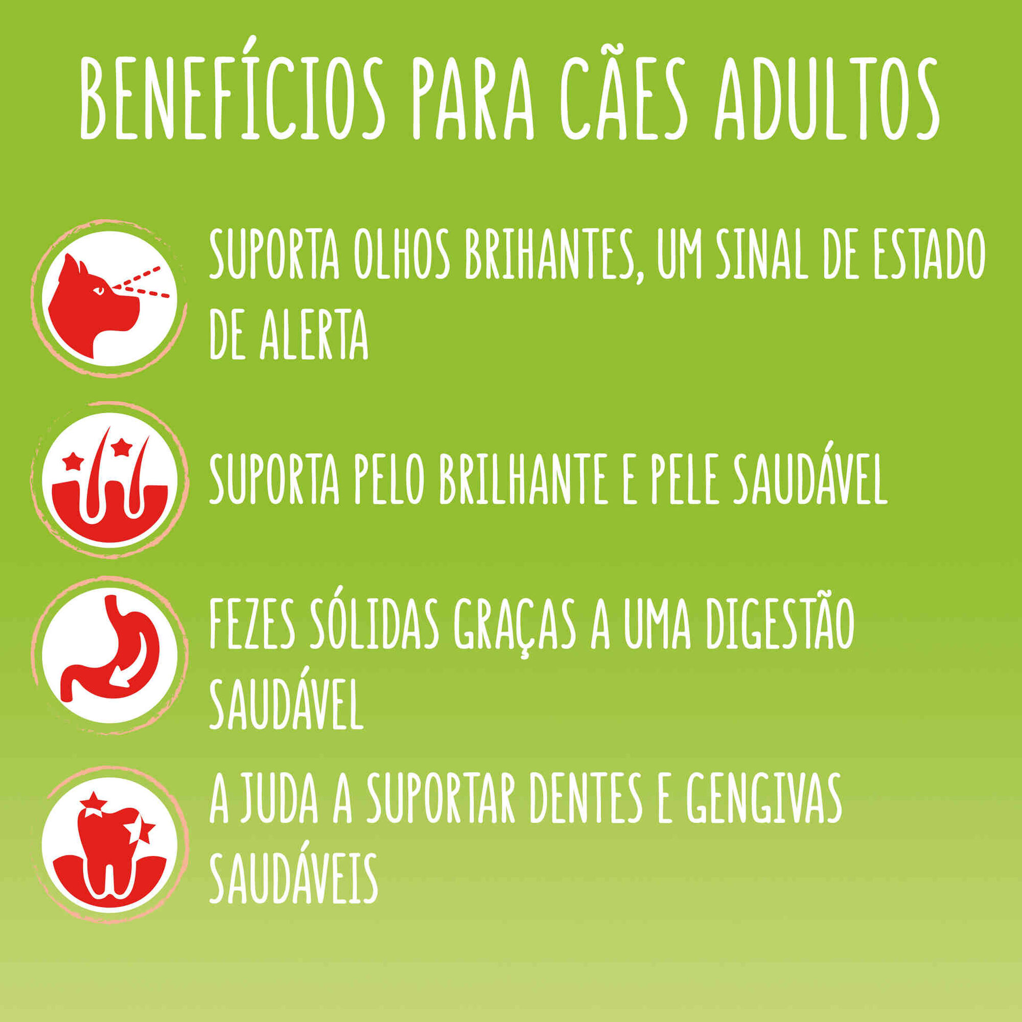 Ra&ccedil;&atilde;o para C&atilde;o Adulto Mini Menu Vaca Purina Friskies