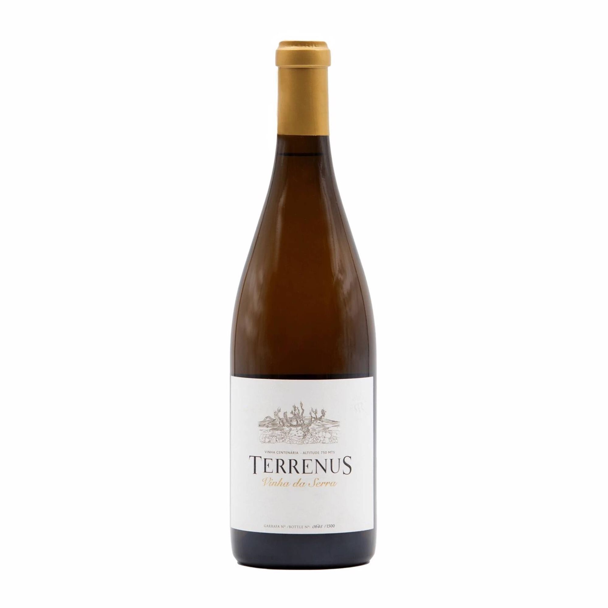 Terrenus Vinha da Serra Branco Alentejo