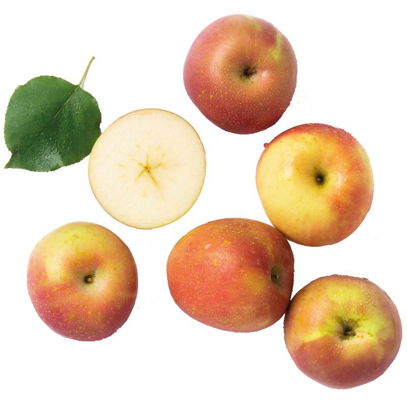 Maçã Fuji Continente