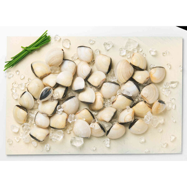 Amêijoa Vietnamita com Casca Congelada