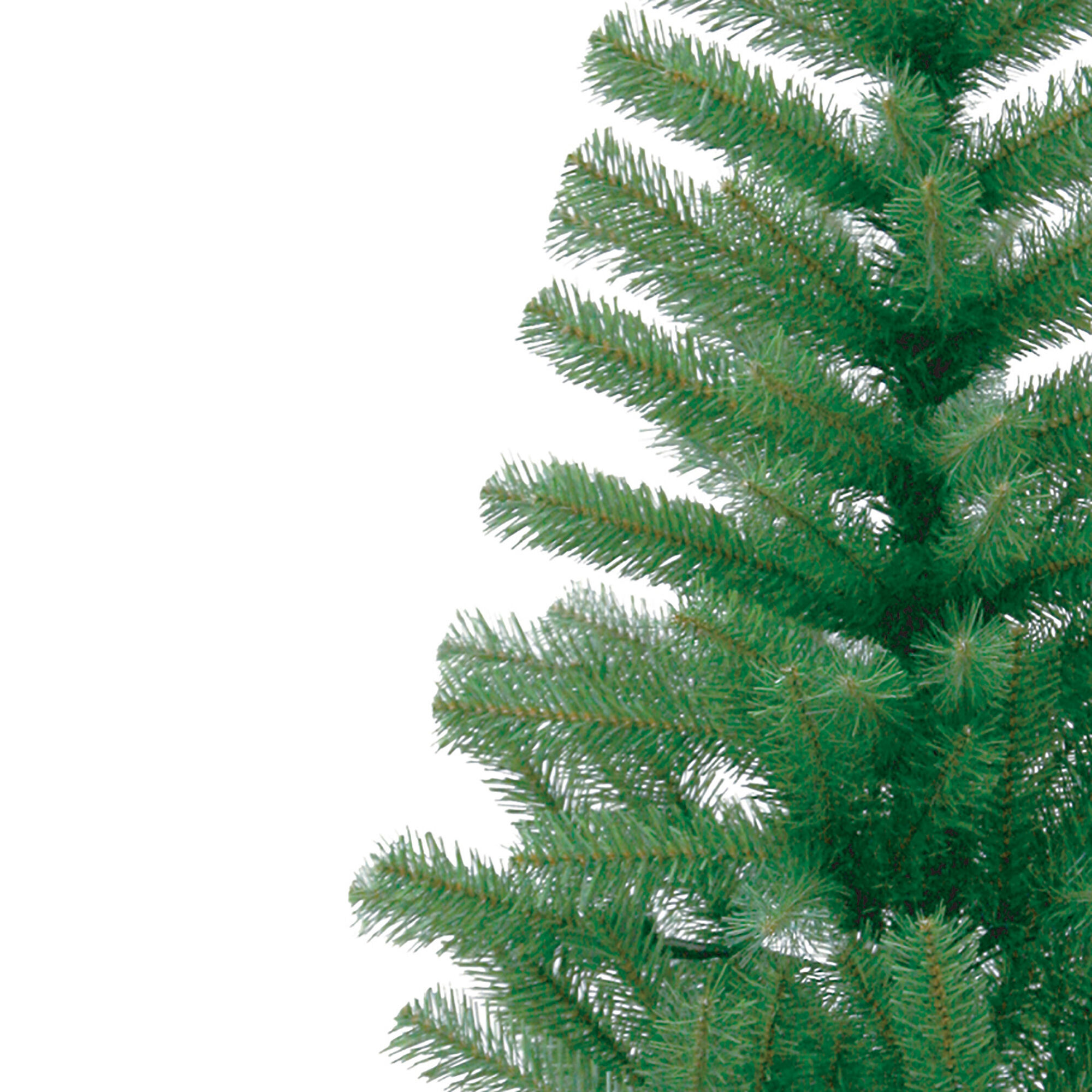 &Aacute;rvore Natal Verde