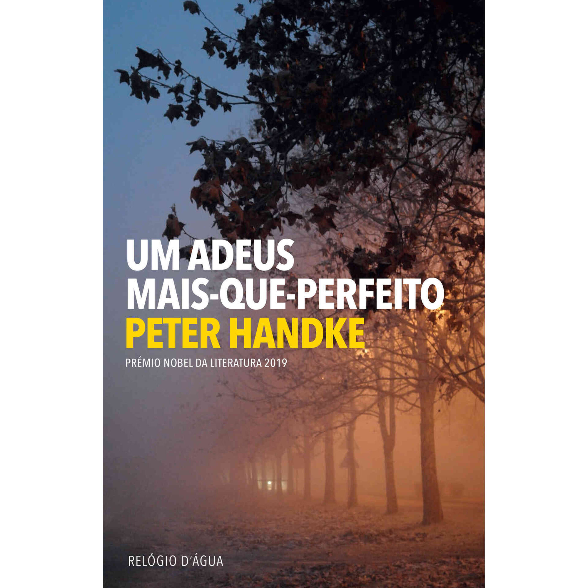 Um Adeus Mais-Que-Perfeito de Peter Handke