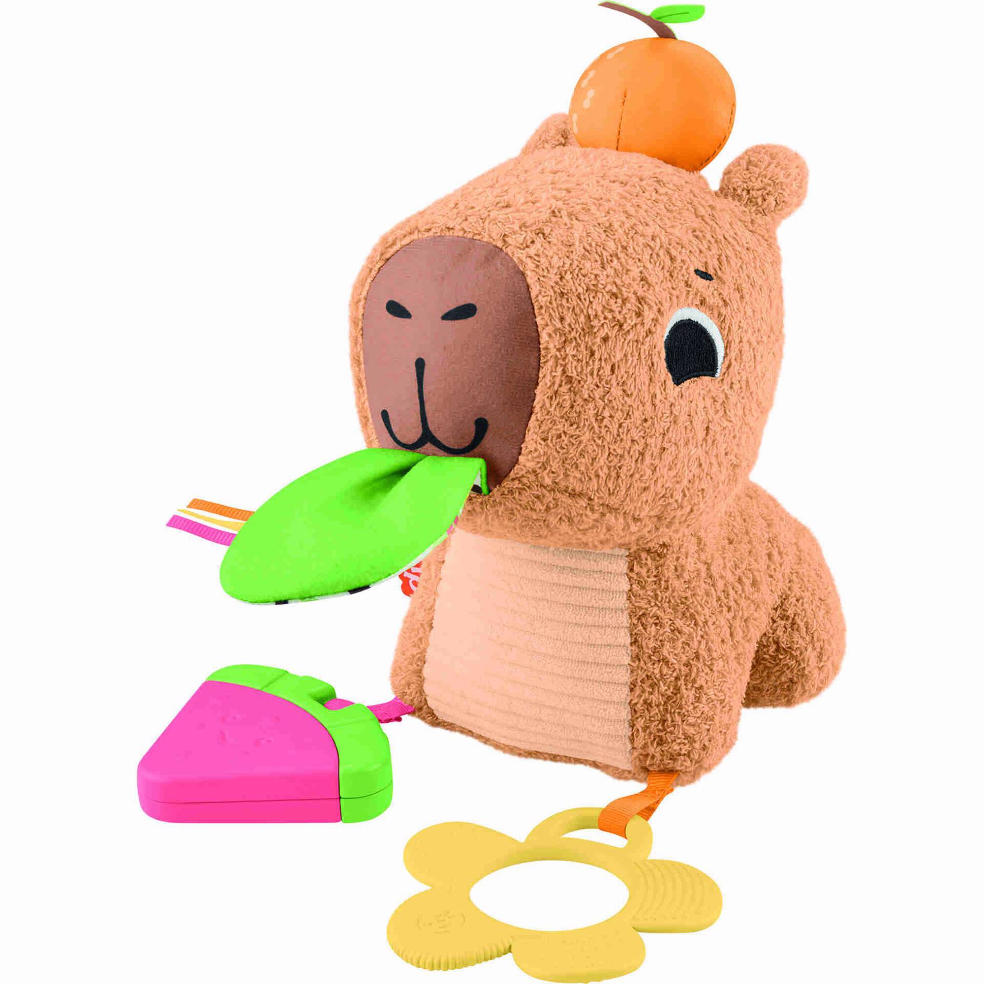 Capivara Fofinha Capivara Fofinha