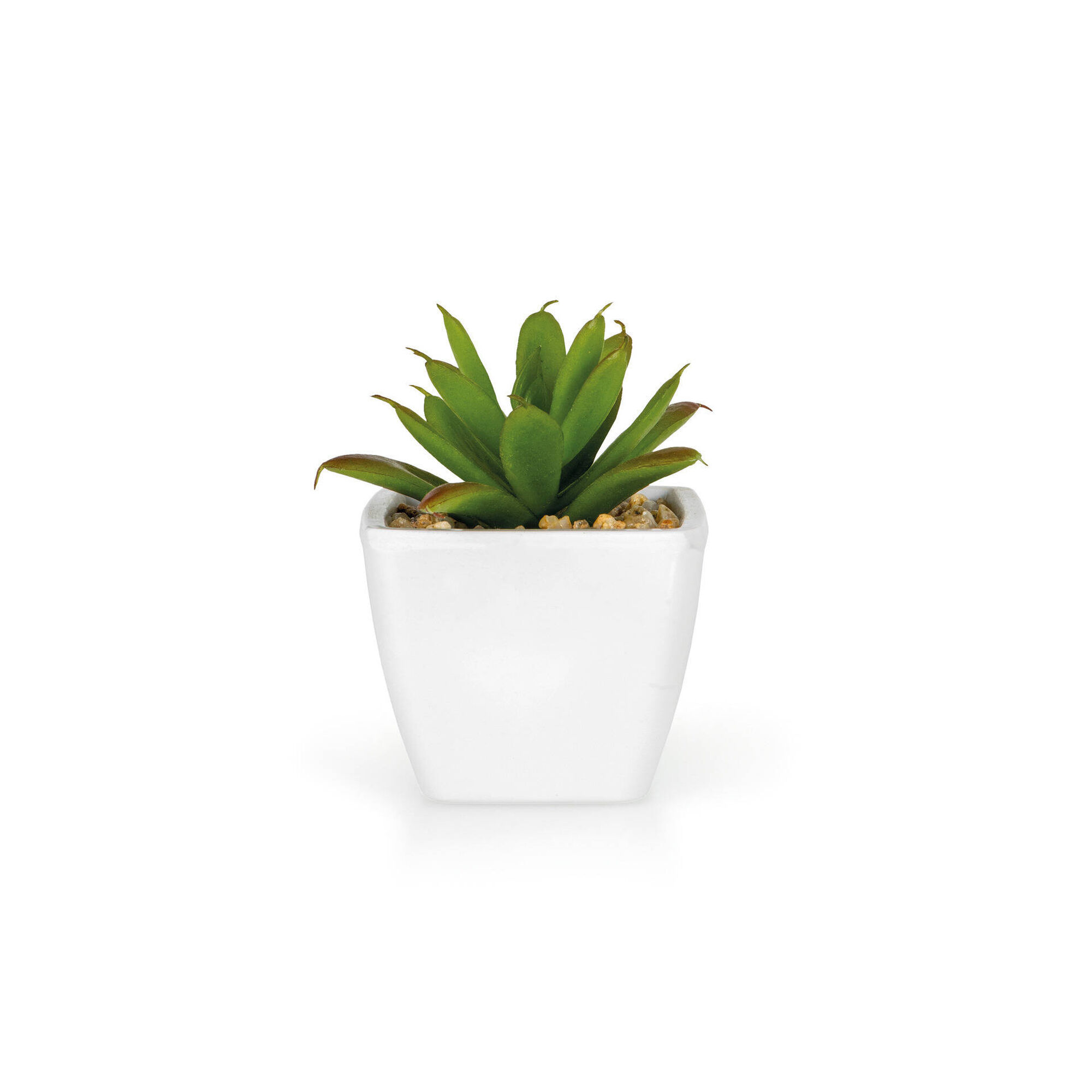 Planta Artificial Suculenta Echeveria com Vaso