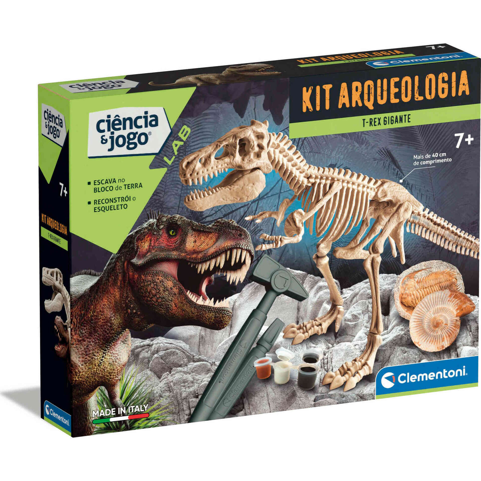 Kit Arqueologia - T-Rex Gigante