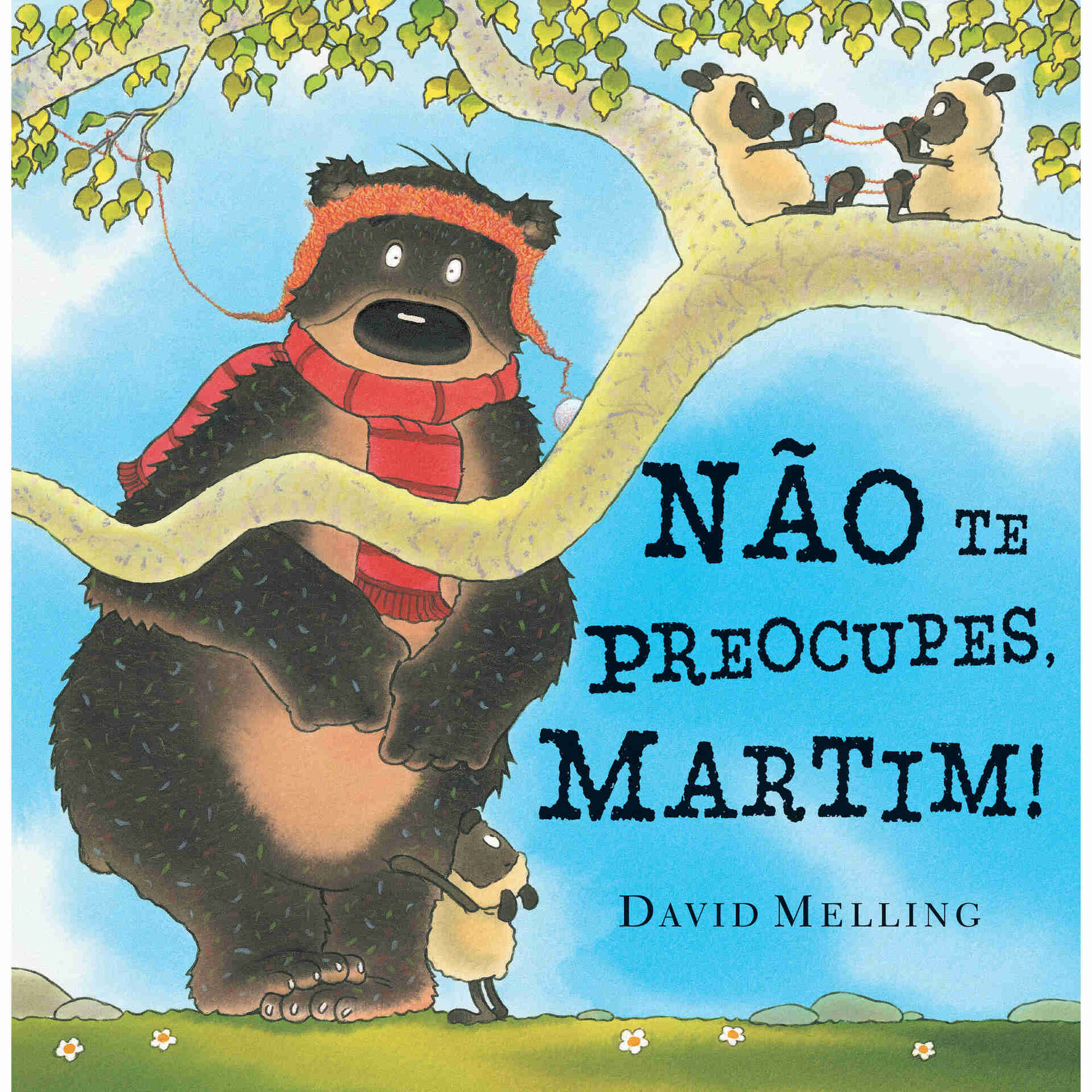 N&atilde;o te Preocupes, Martim! de David Melling
