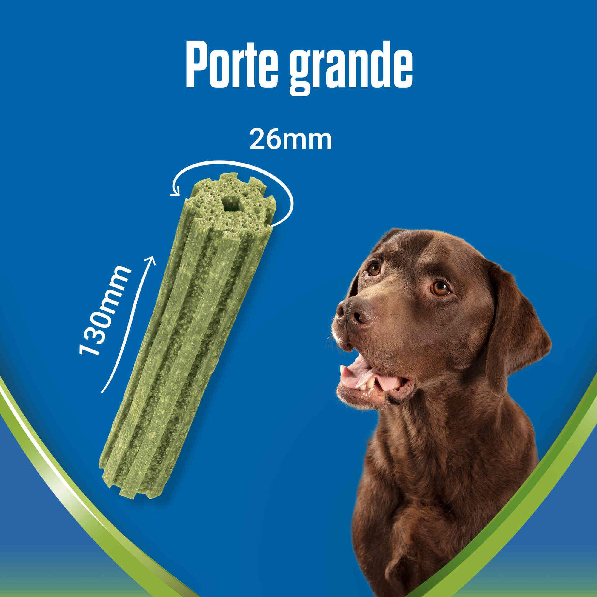 Snack para Cão Maxi Activefresh