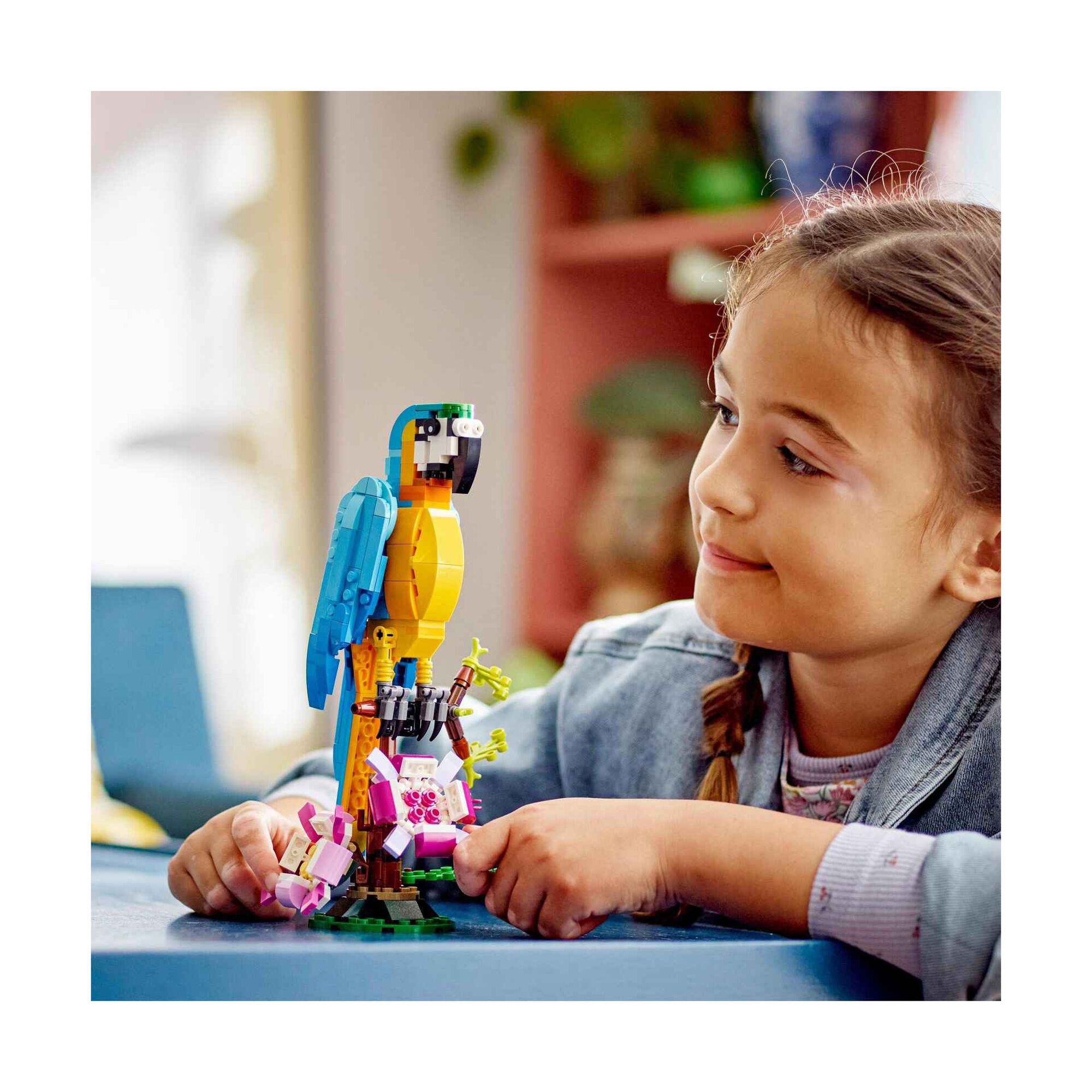 Papagaio Exótico - 31136 Papagaio Exótico - 31136